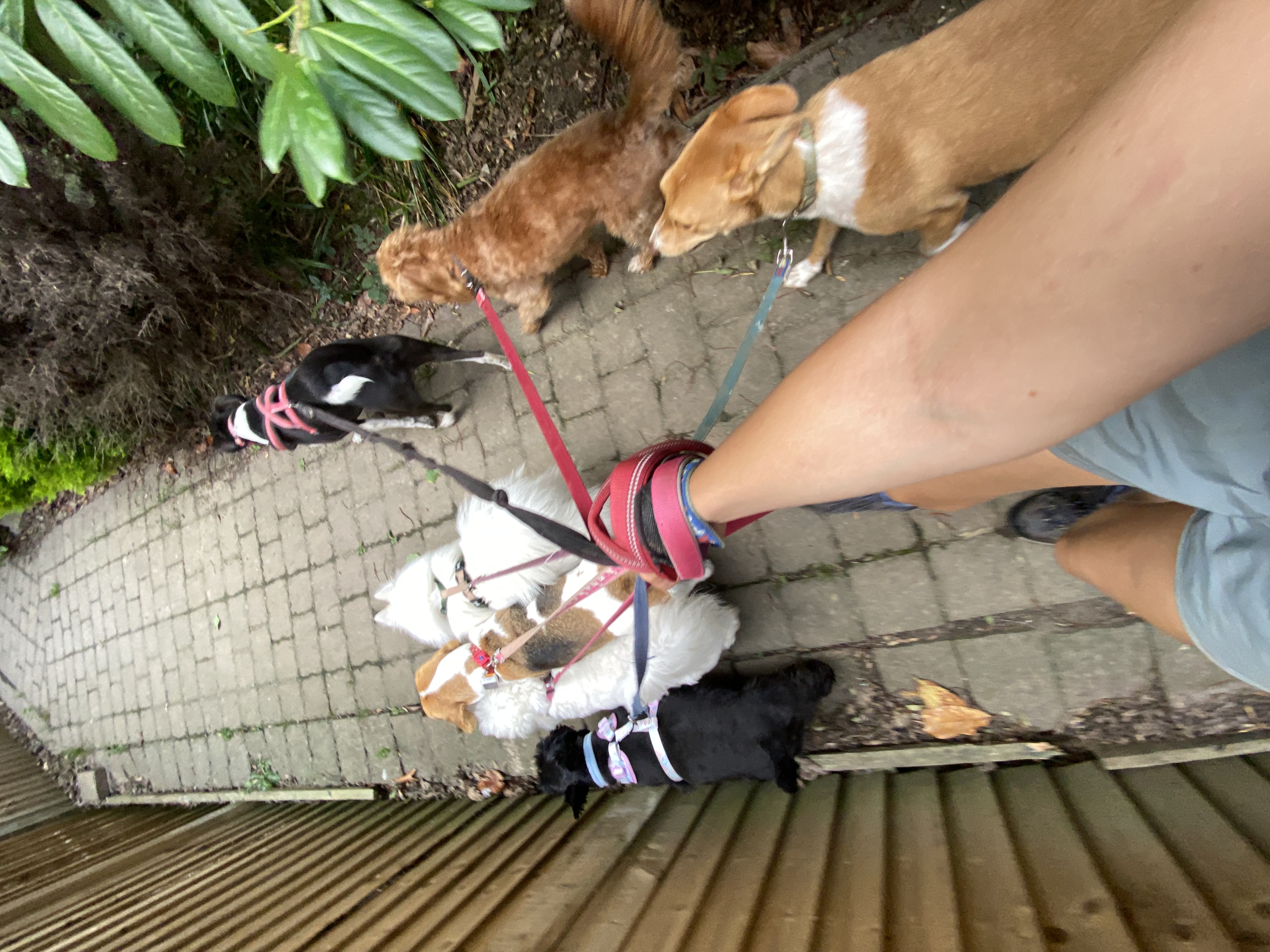image-6