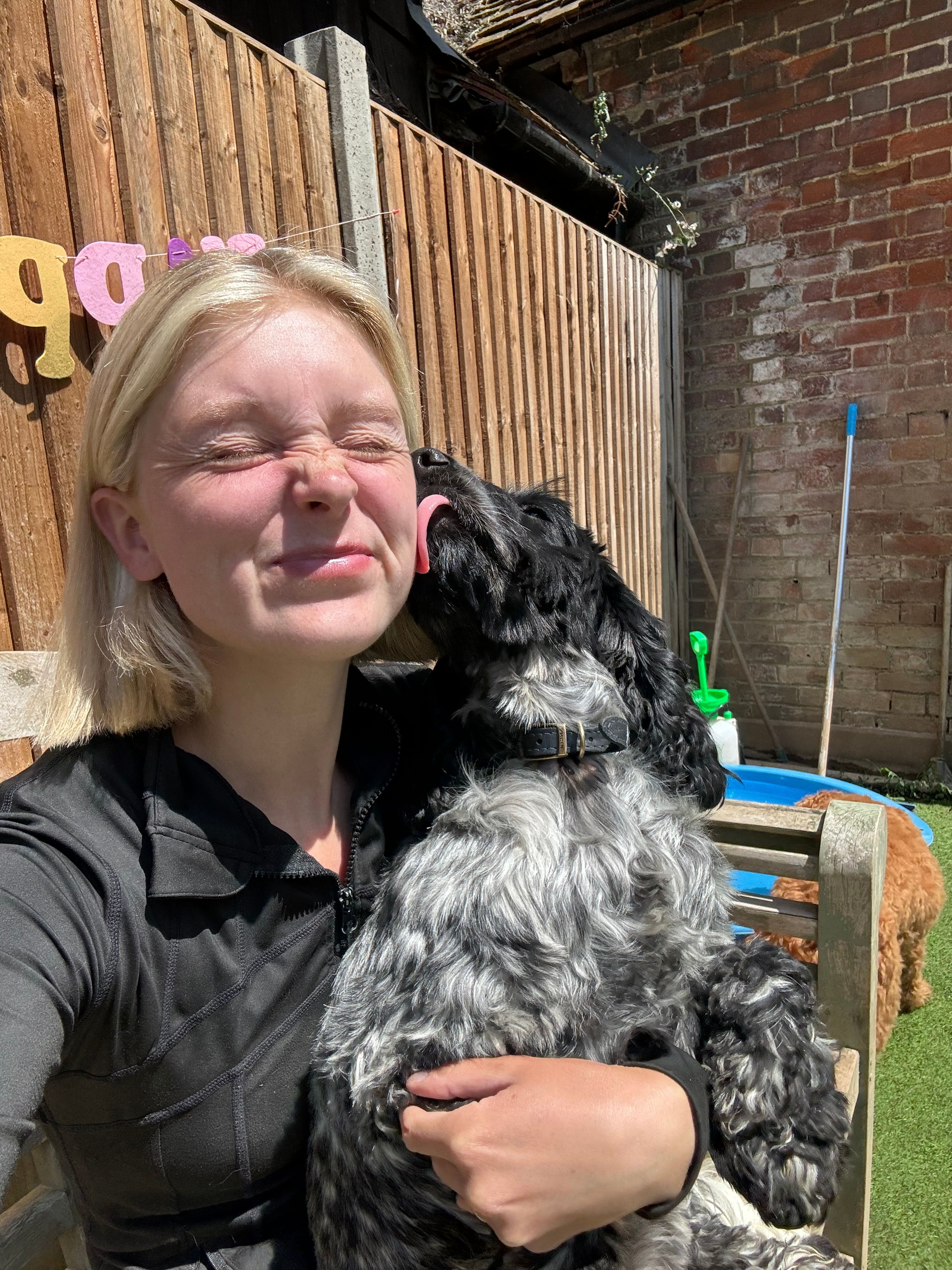 image-2
