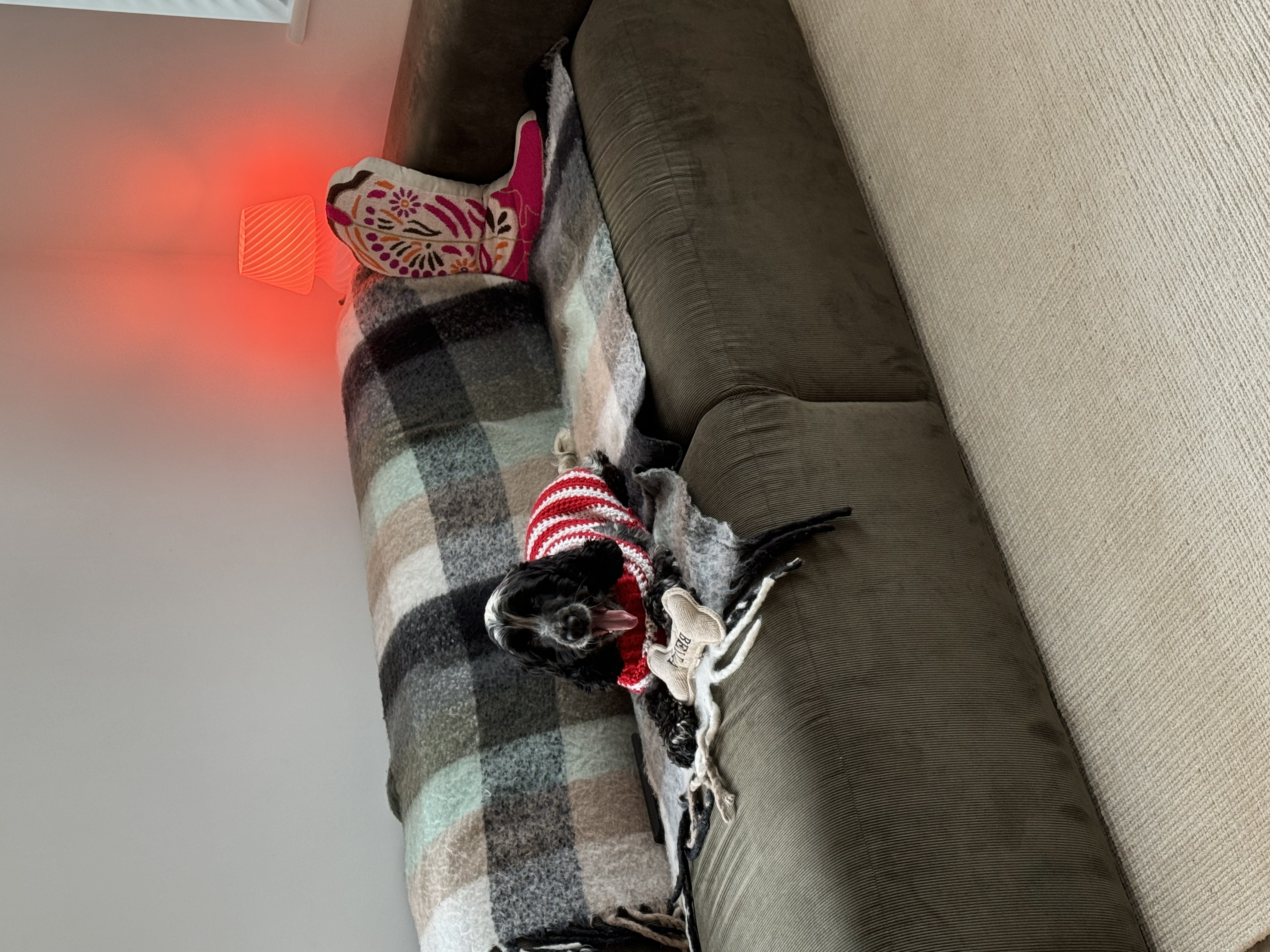 image-10