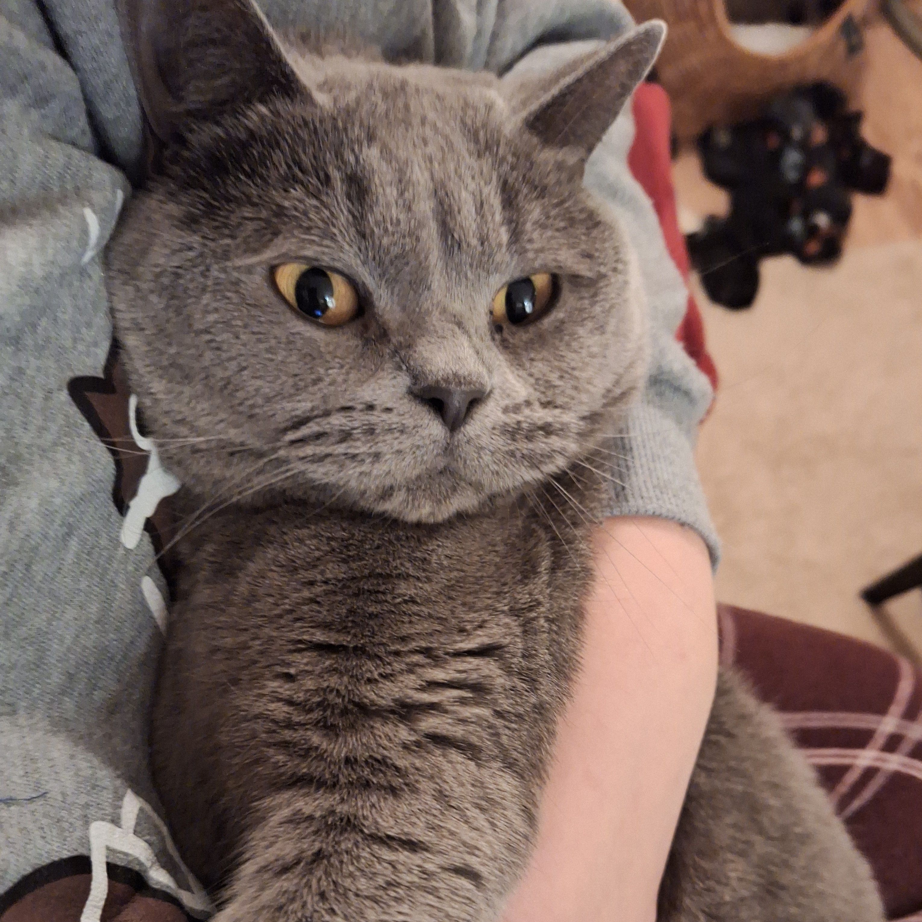 Sofiya