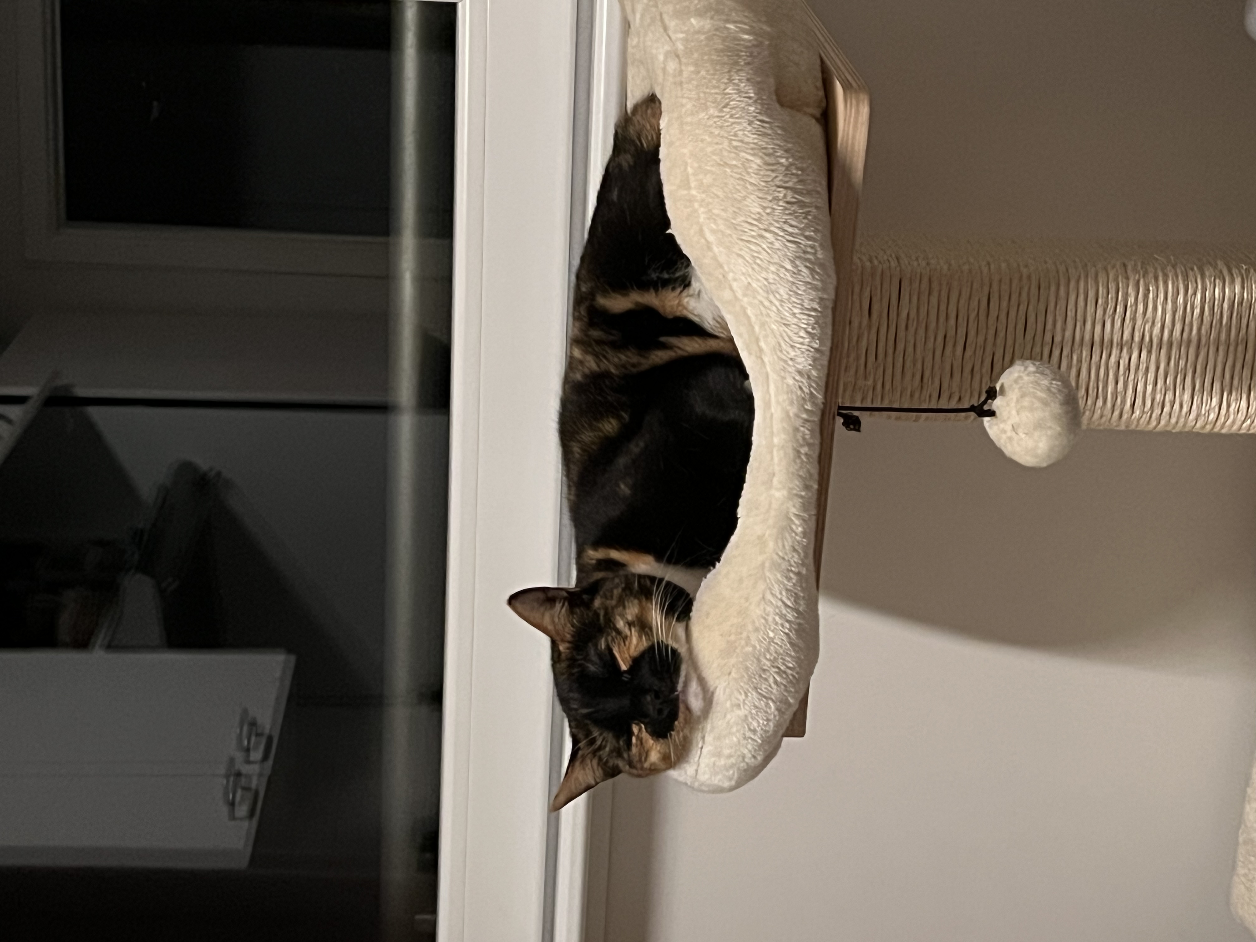 image-7