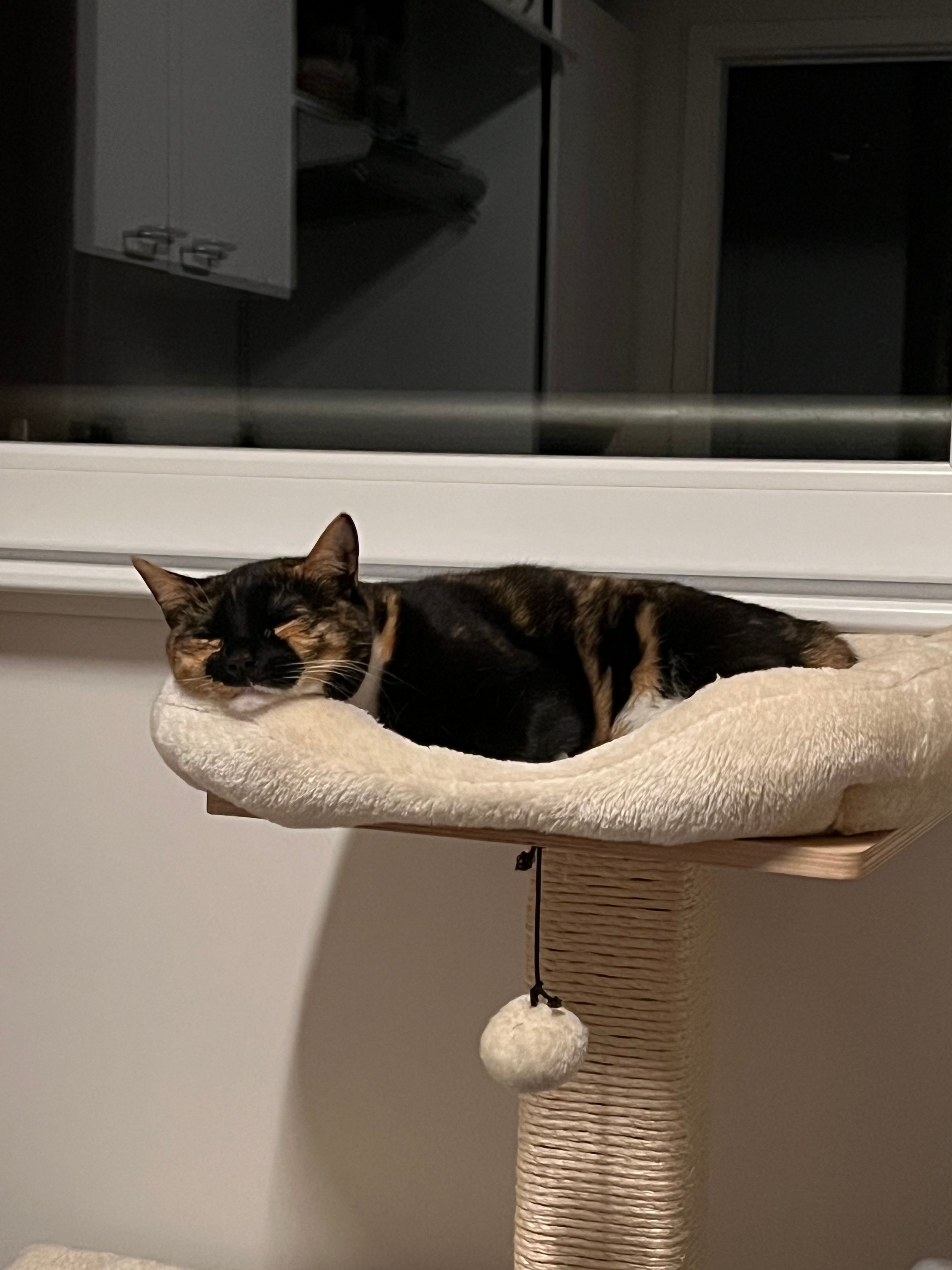 image-7
