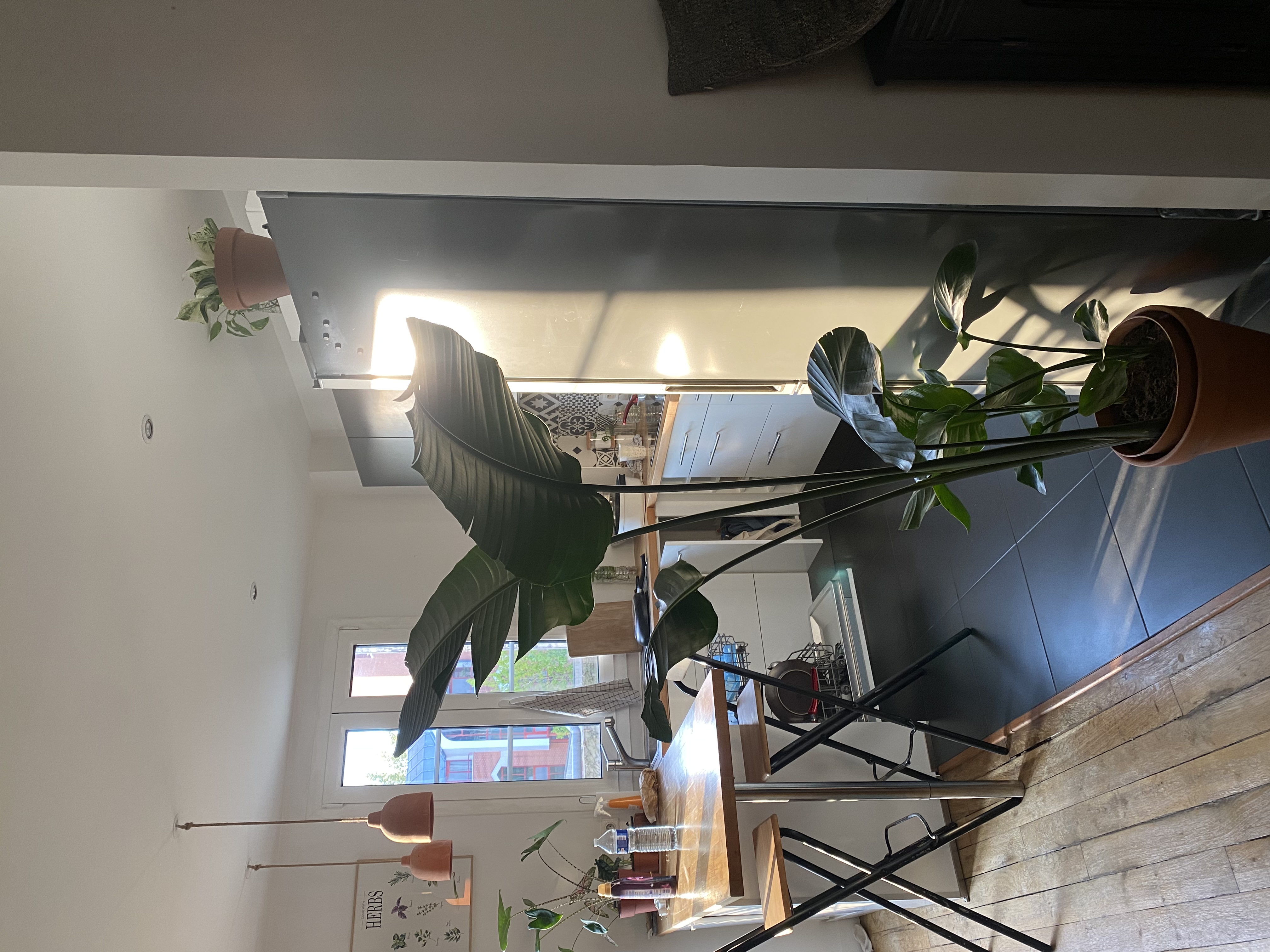image-18