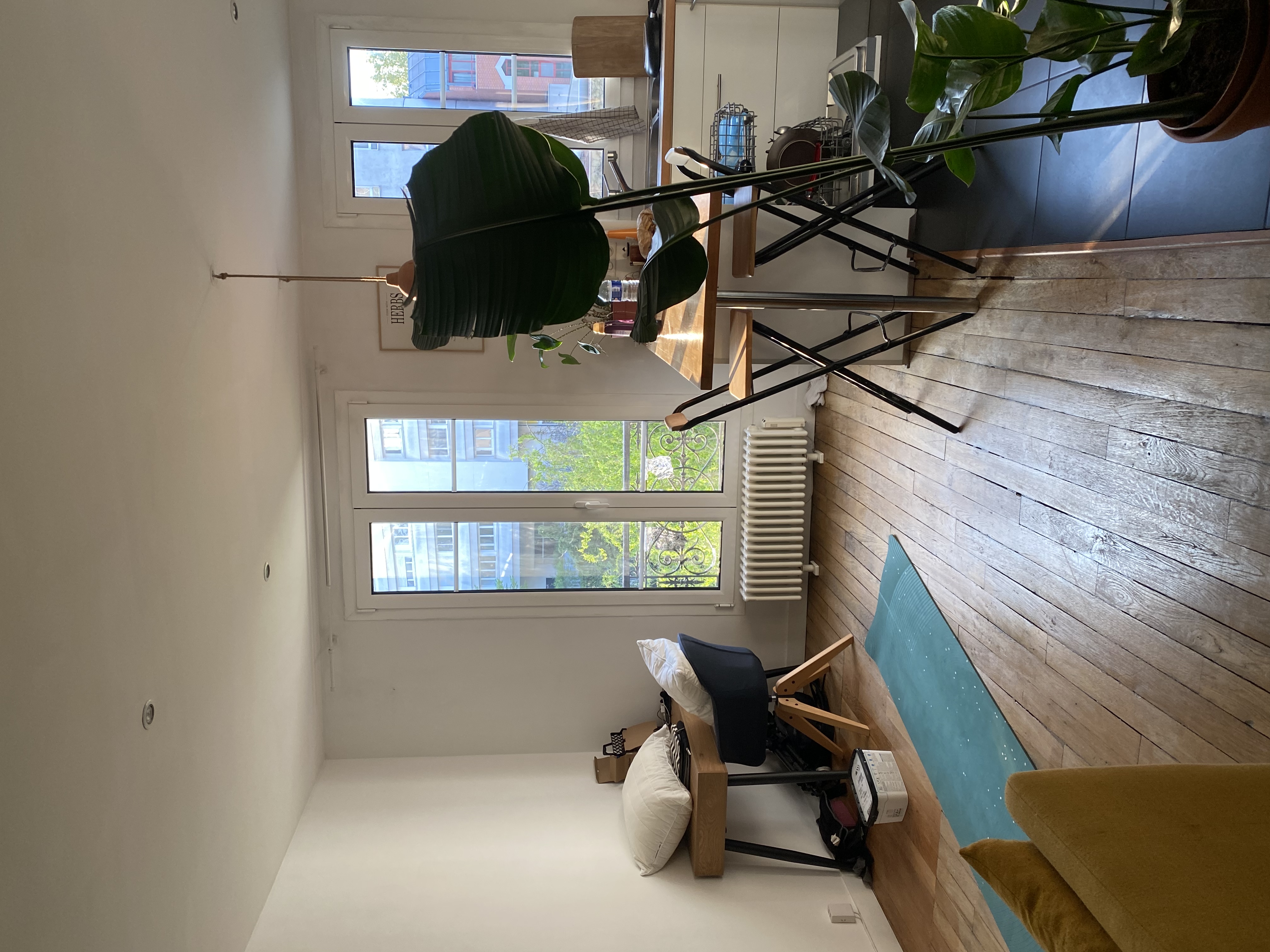 image-19
