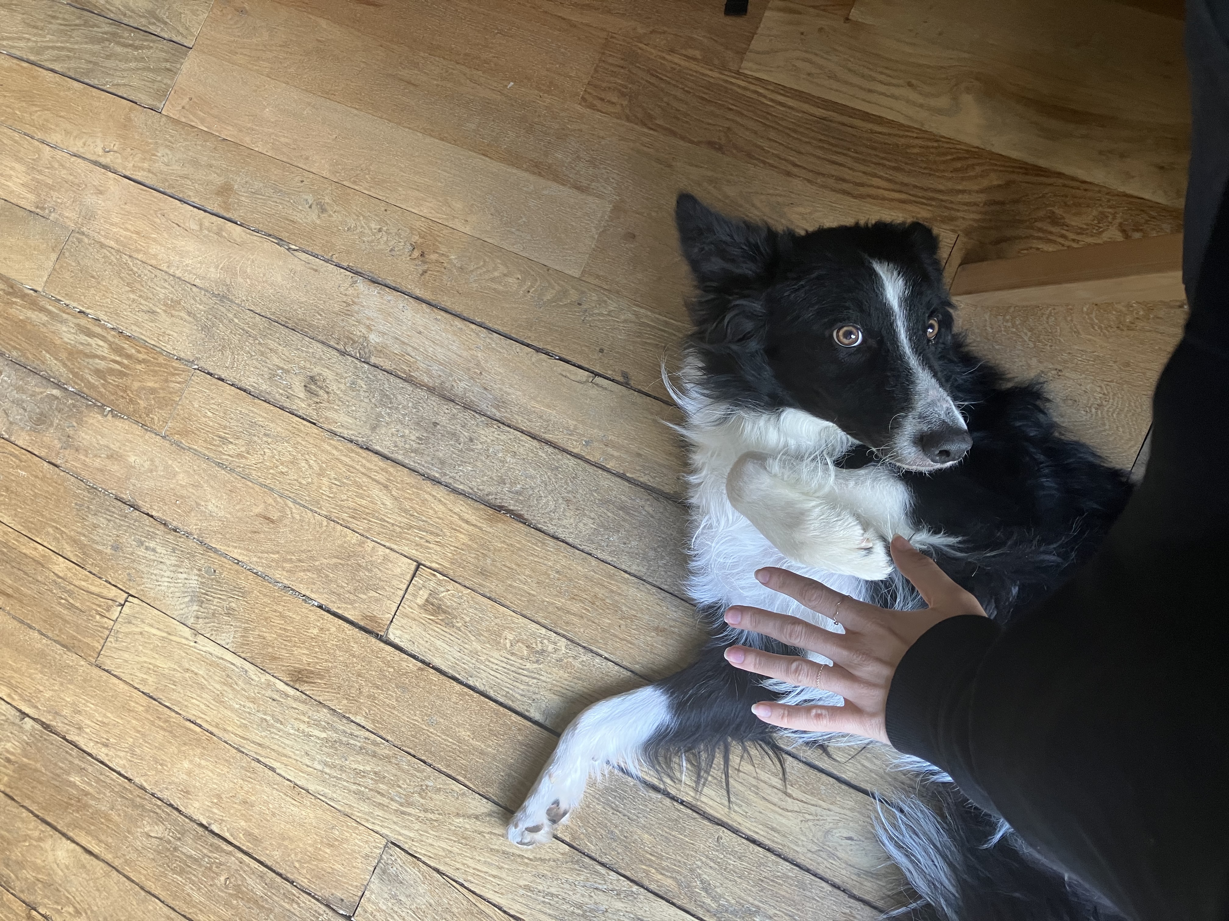 image-12