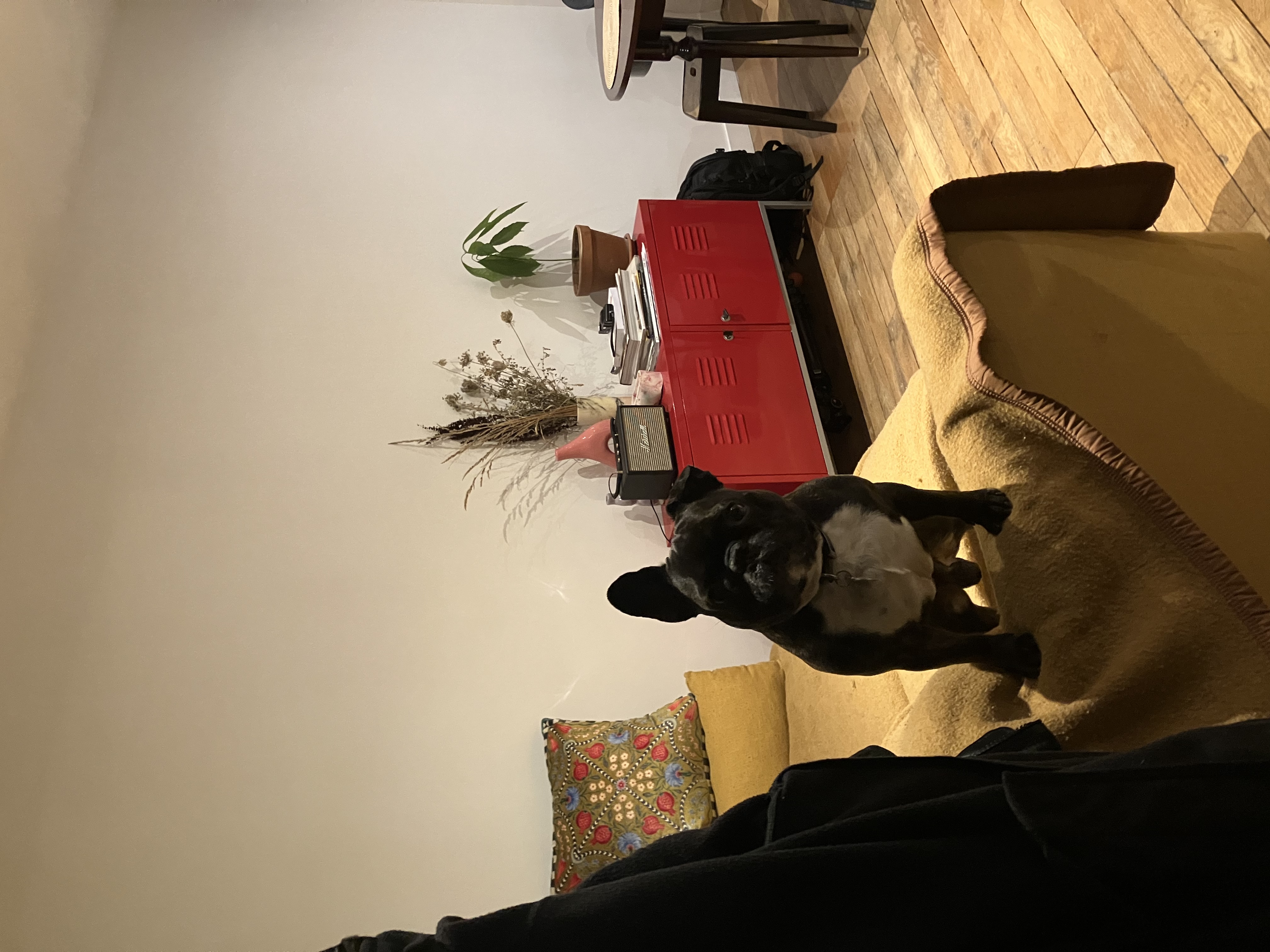 image-13