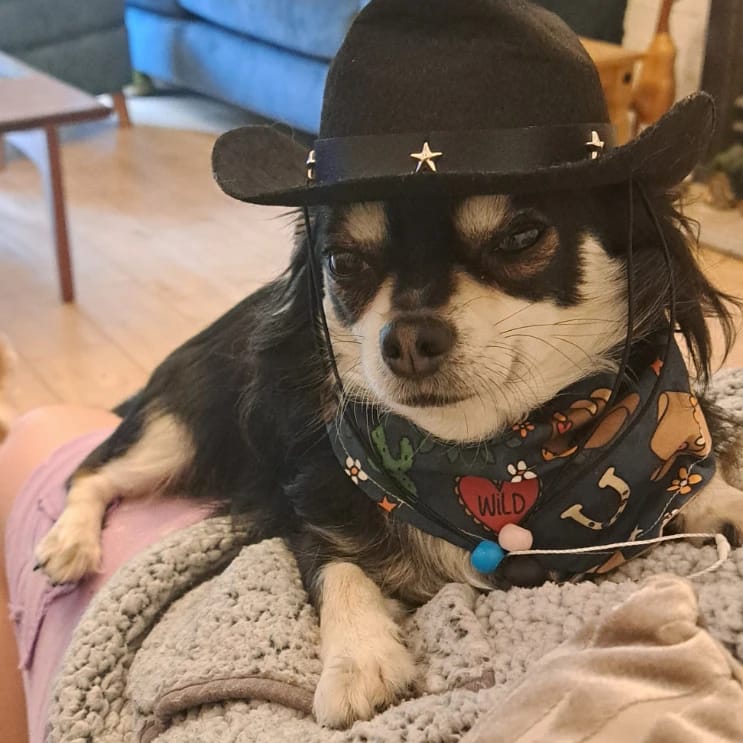 sam