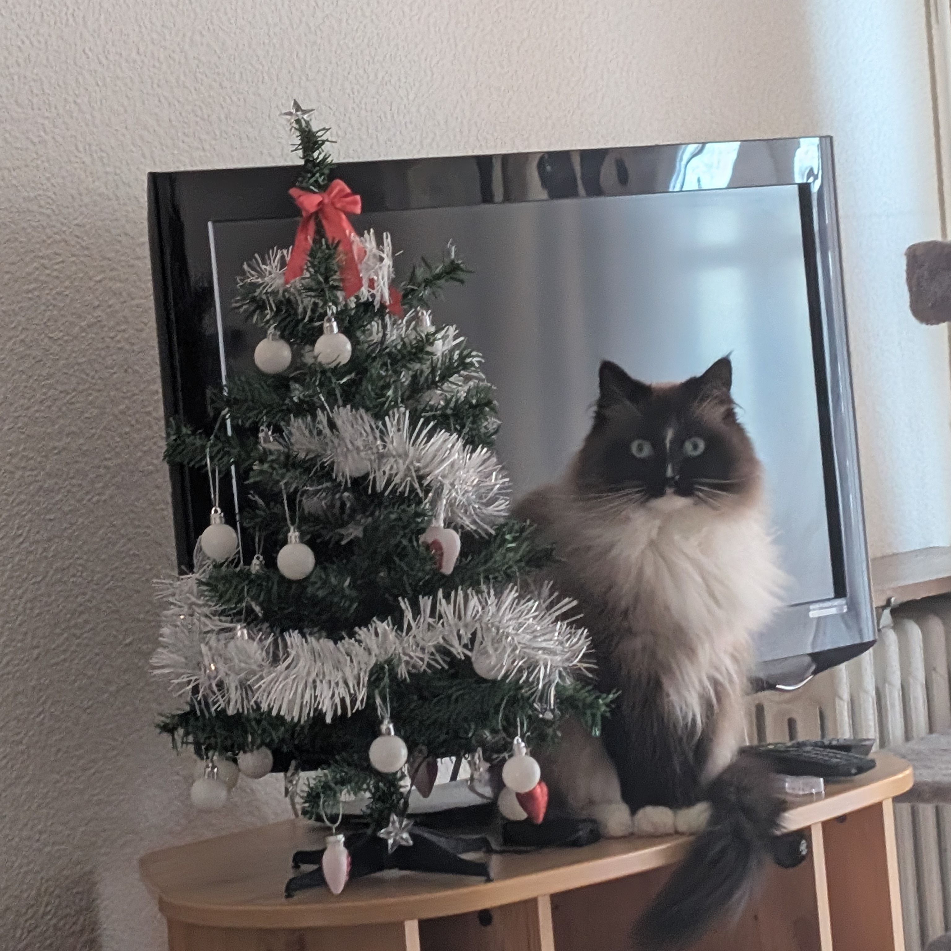 Felicja
