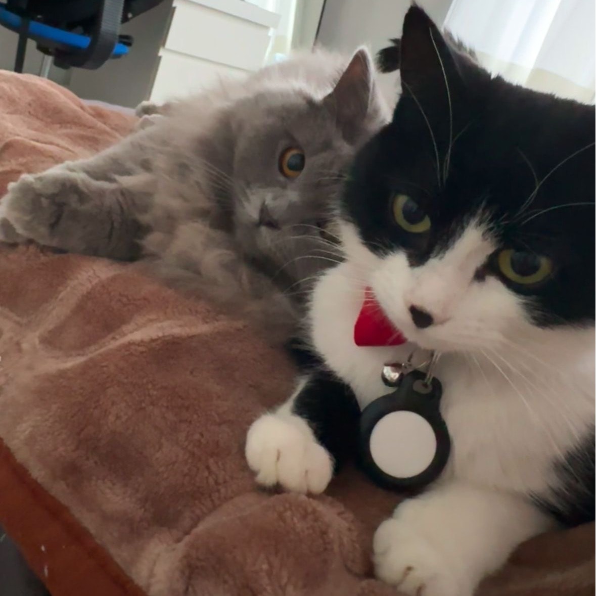 Luna & Valentijn 