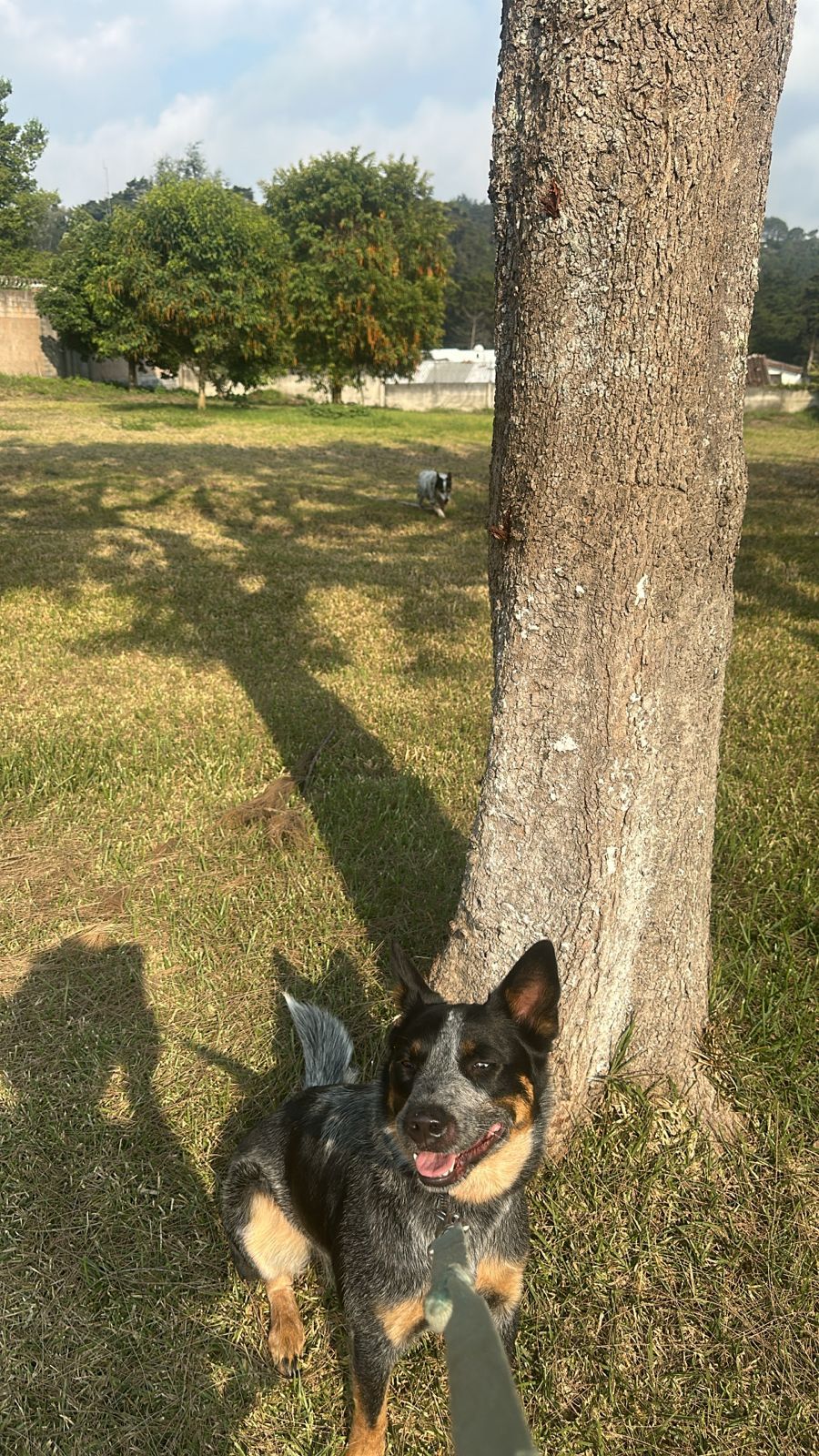 image-6