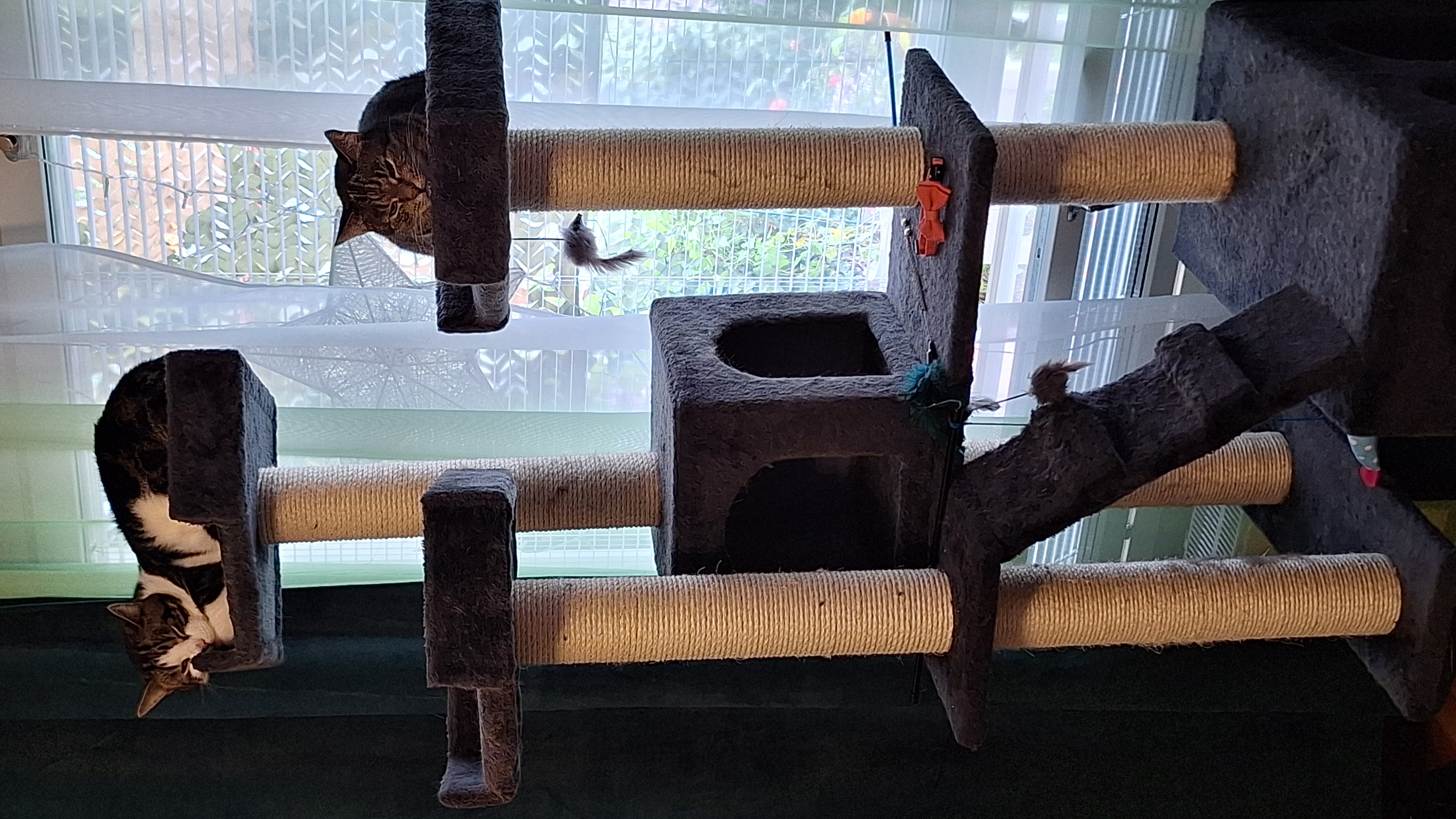 image-16