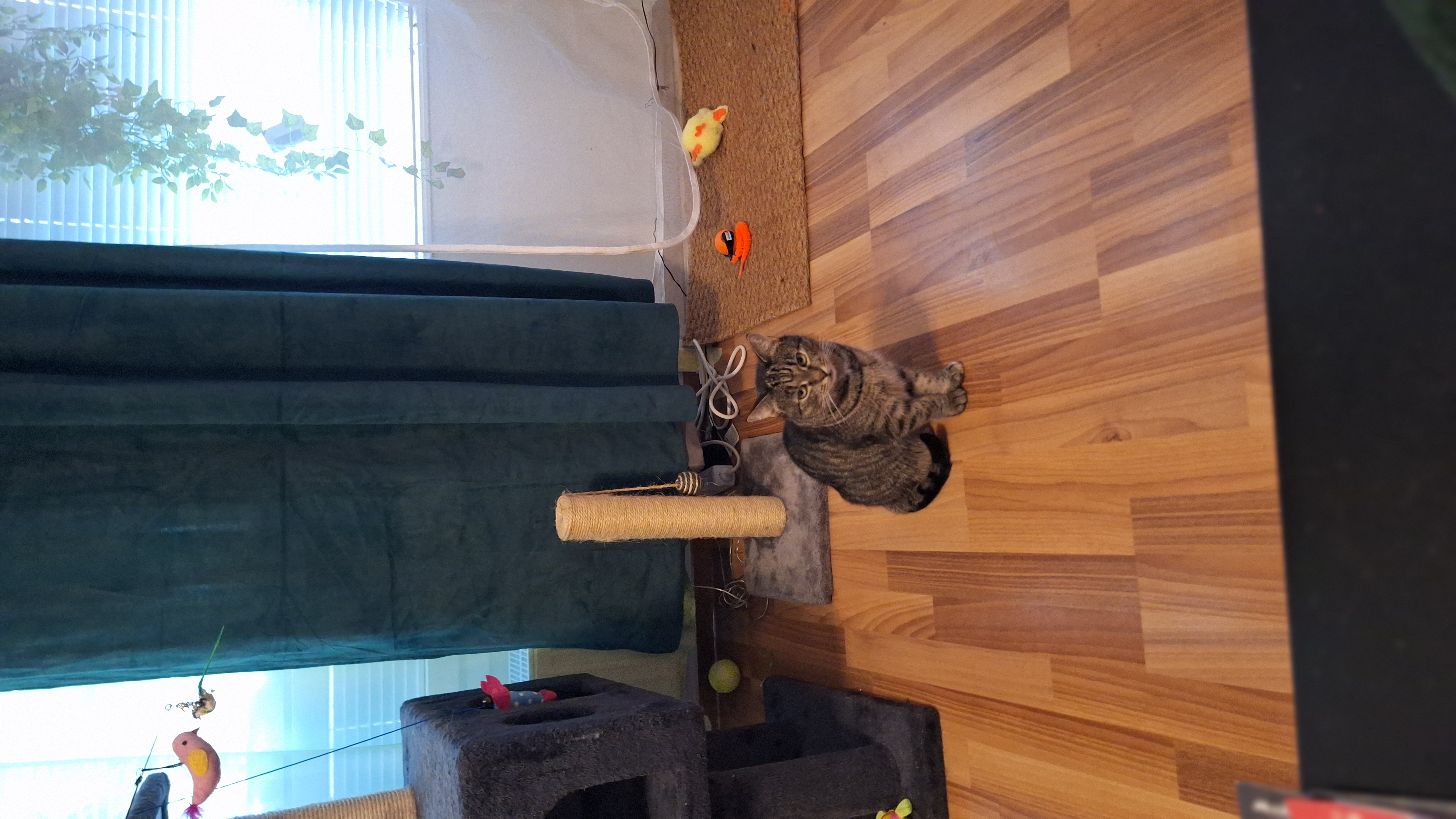 image-13