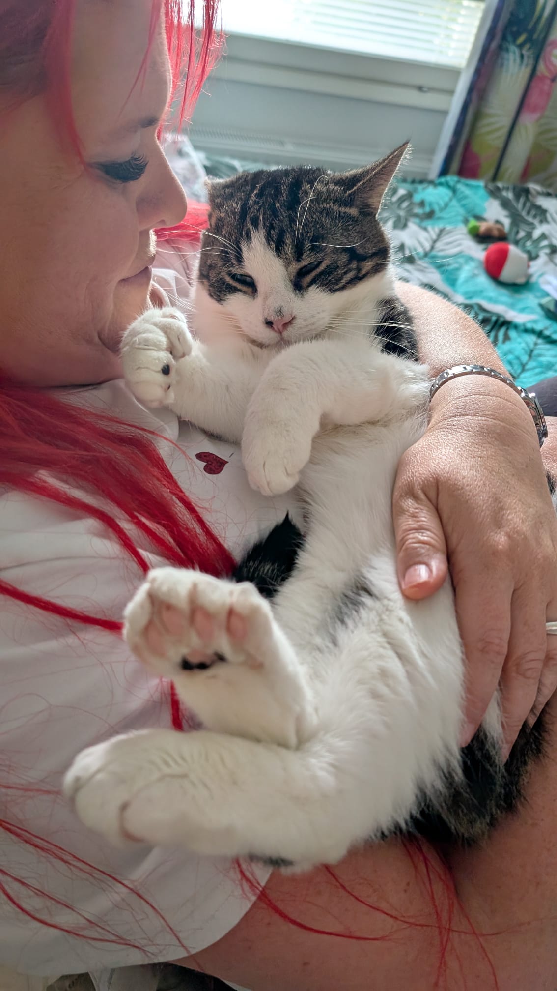 image-2