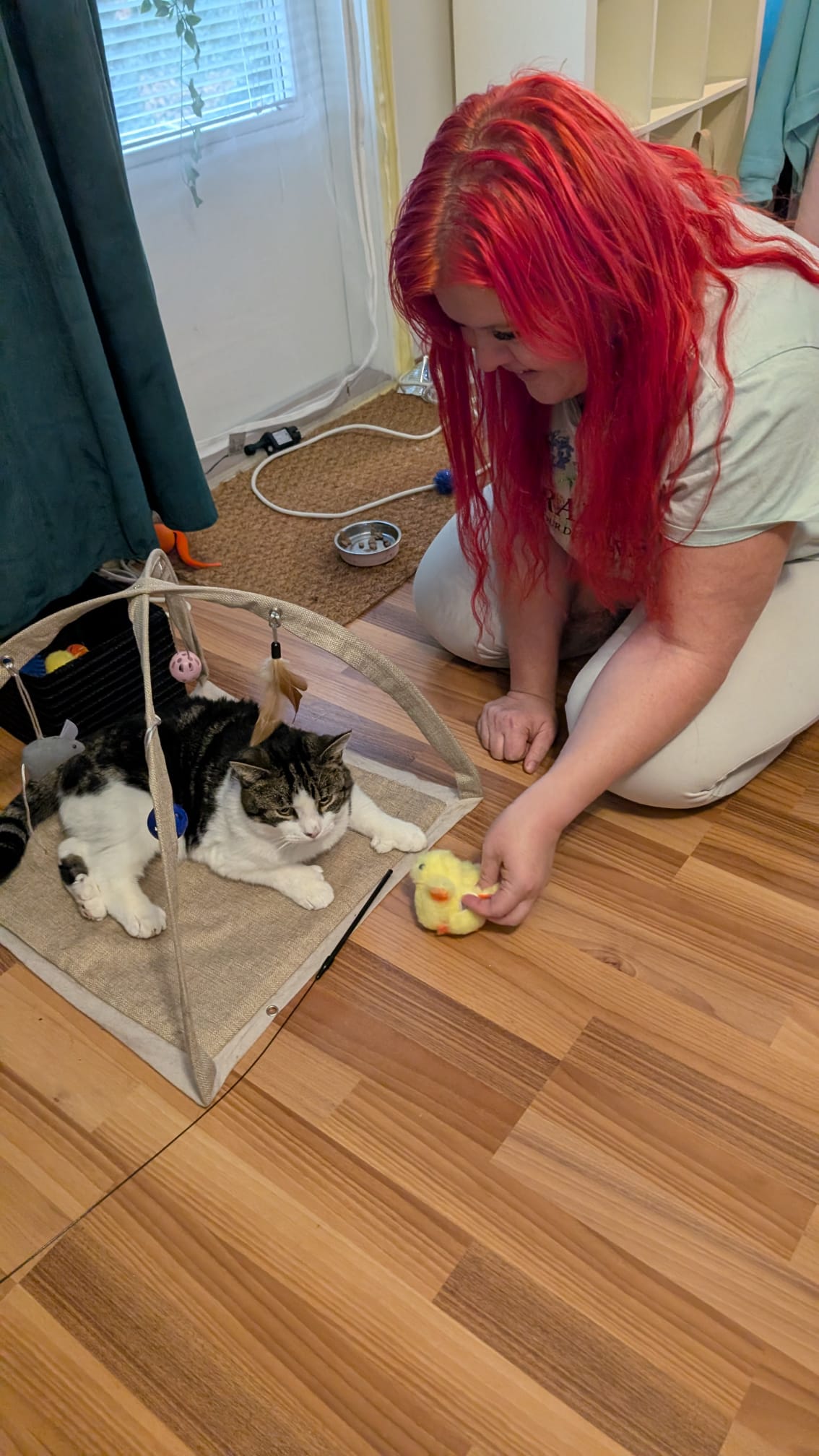 image-8