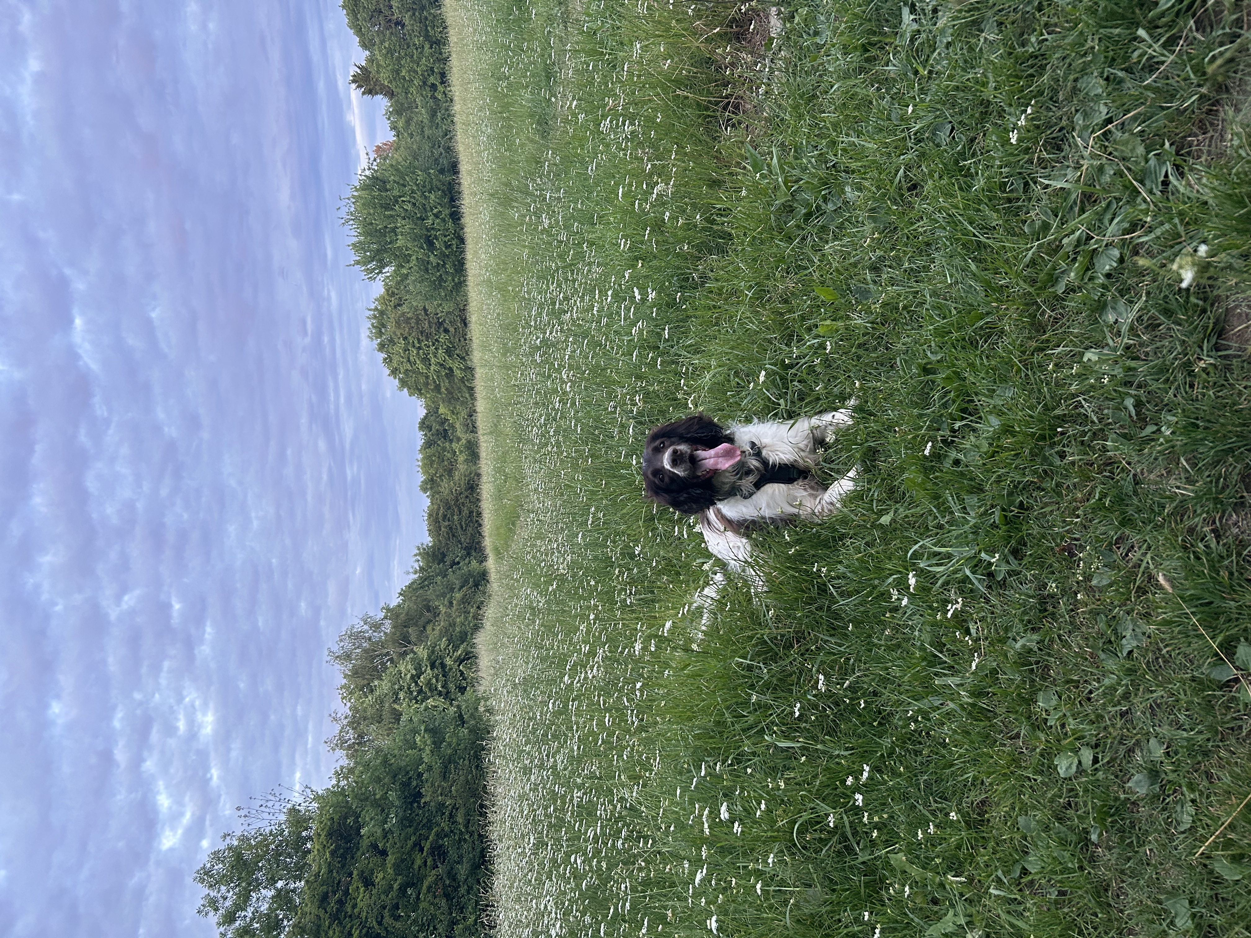 image-9