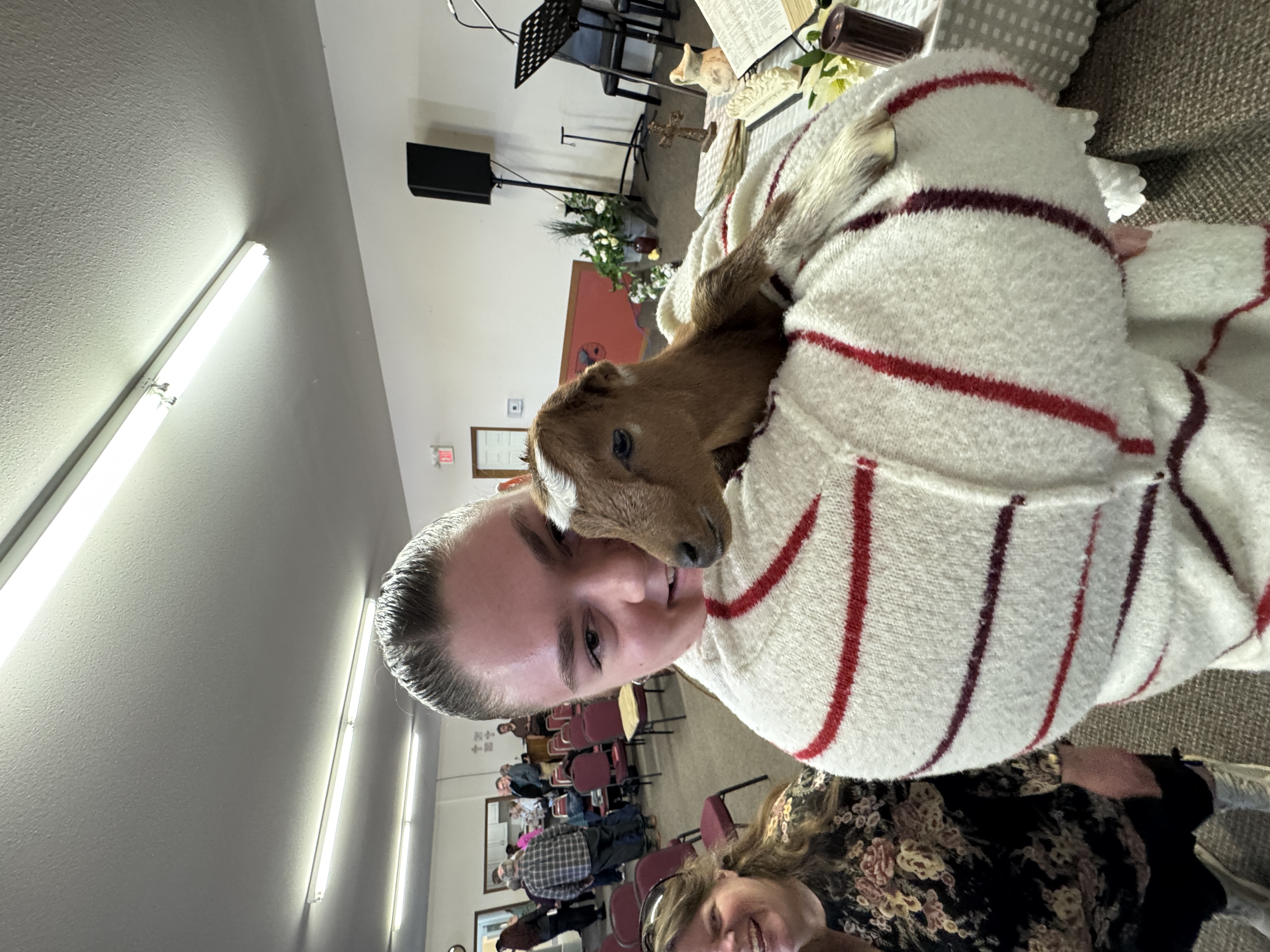 image-5
