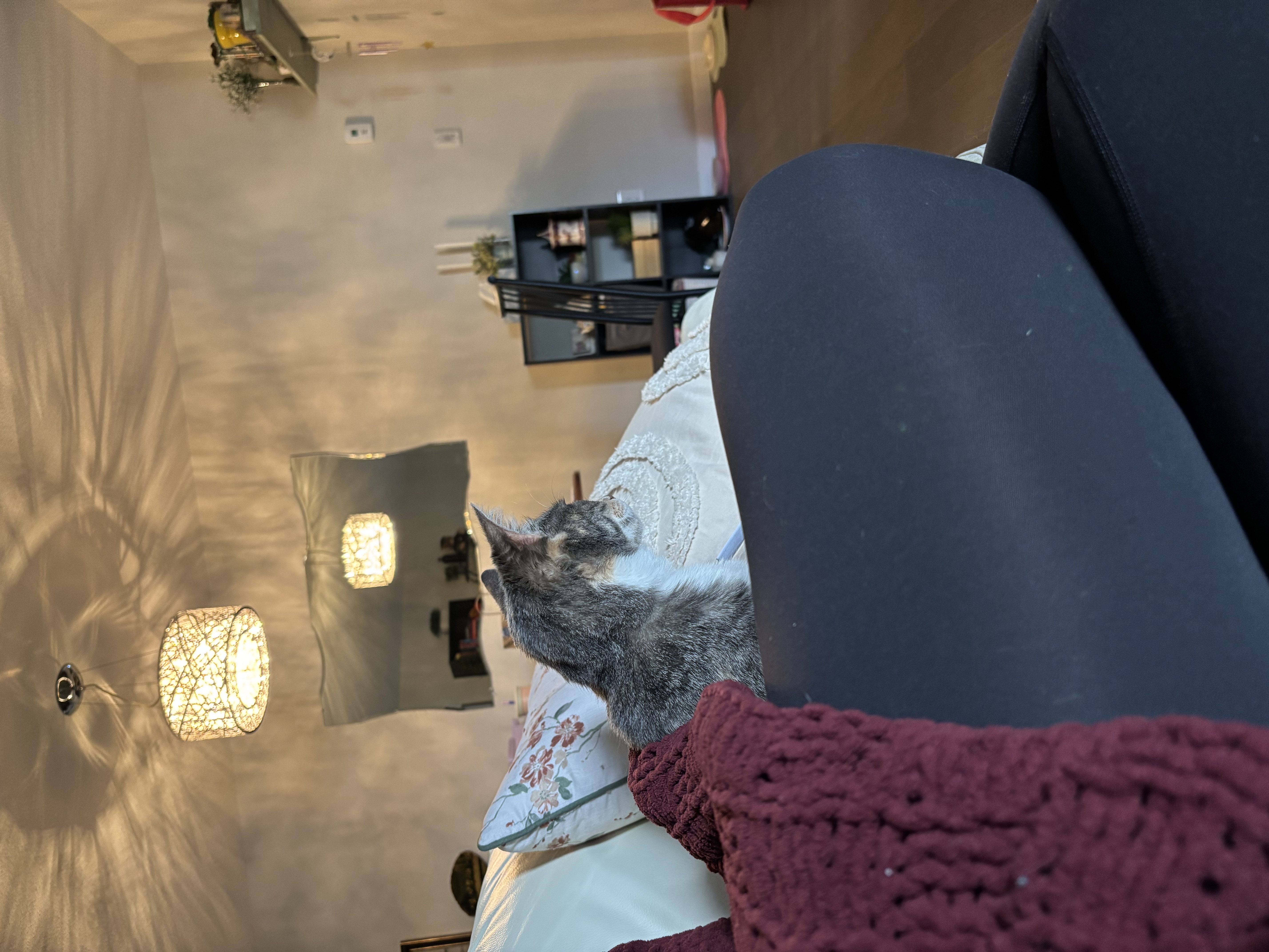 image-10