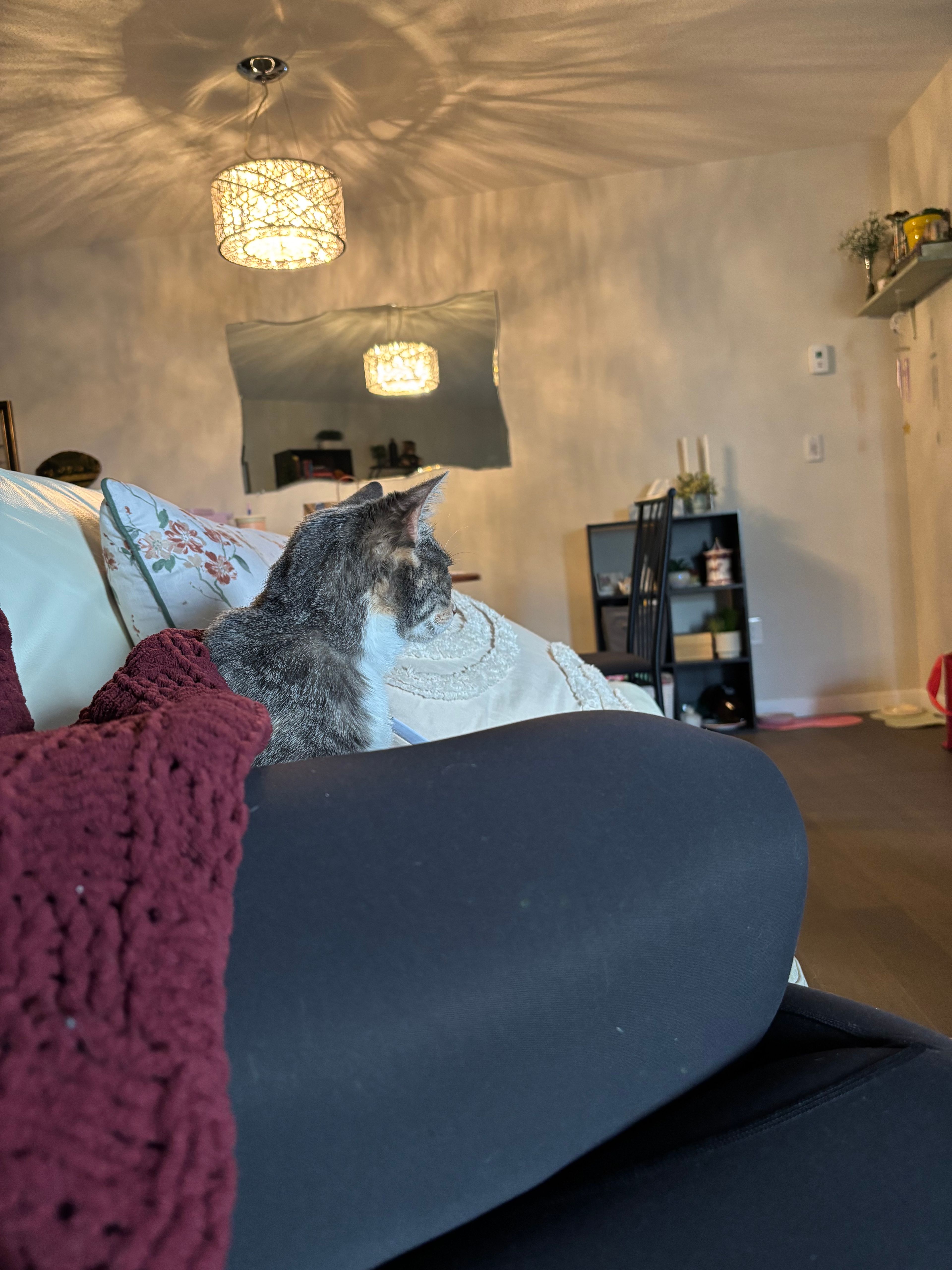 image-10