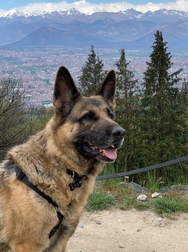 image-6