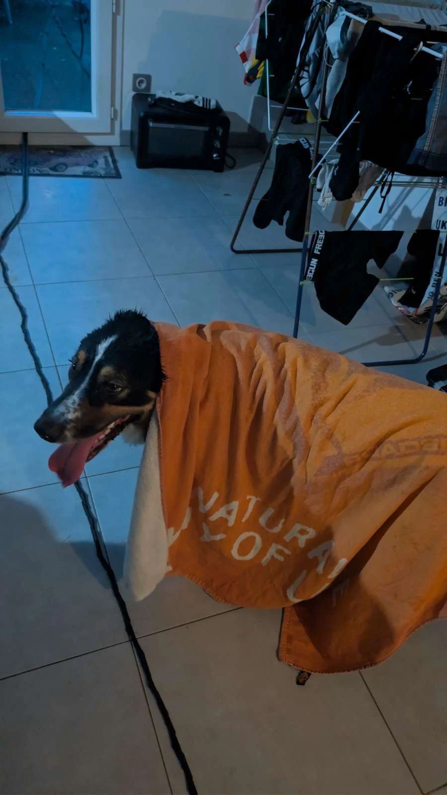 image-8