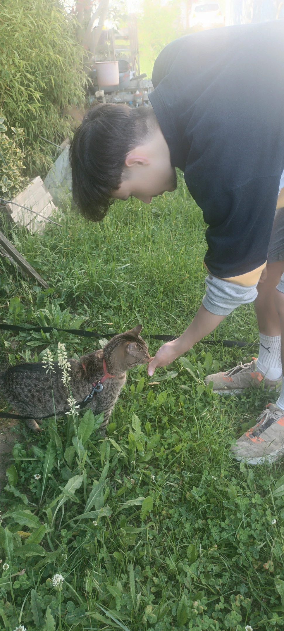 image-9