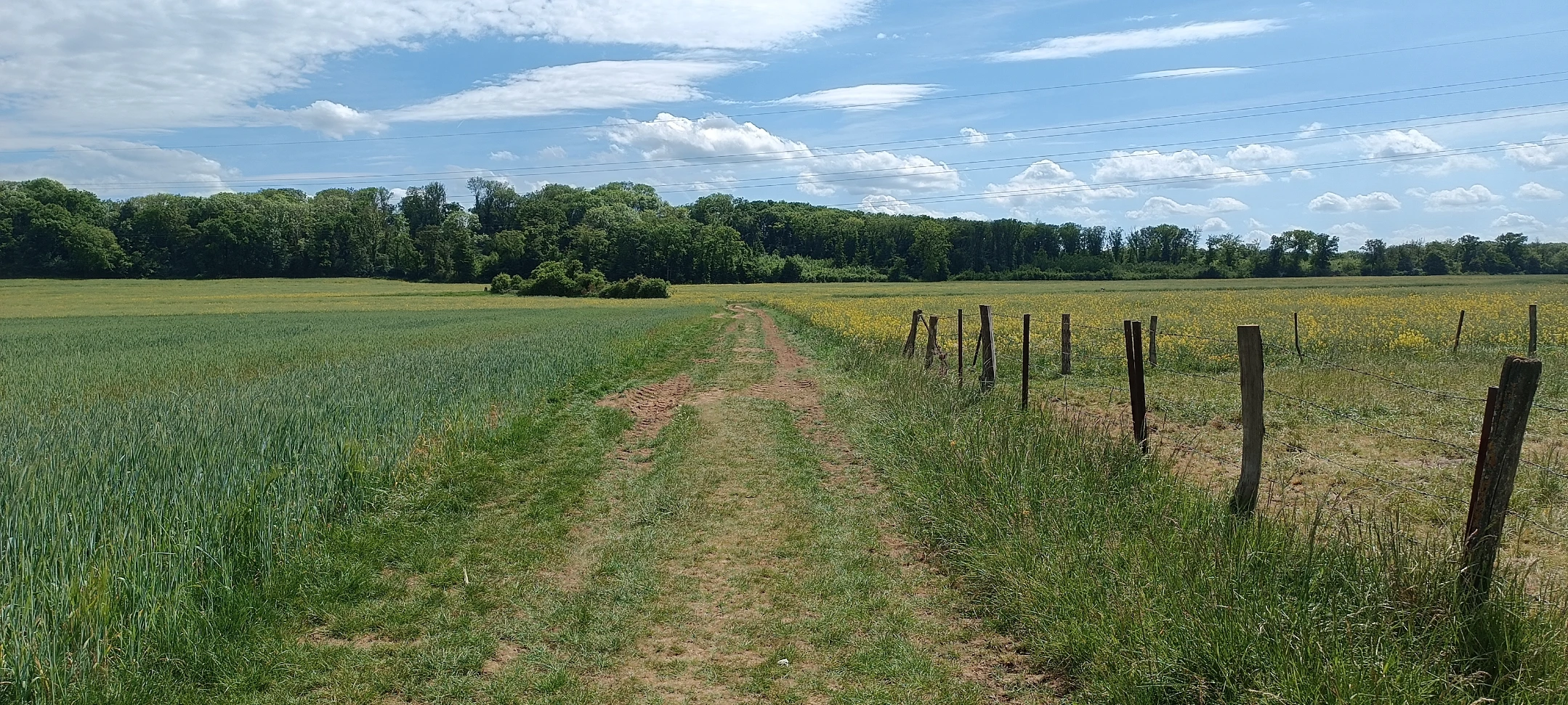 image-14