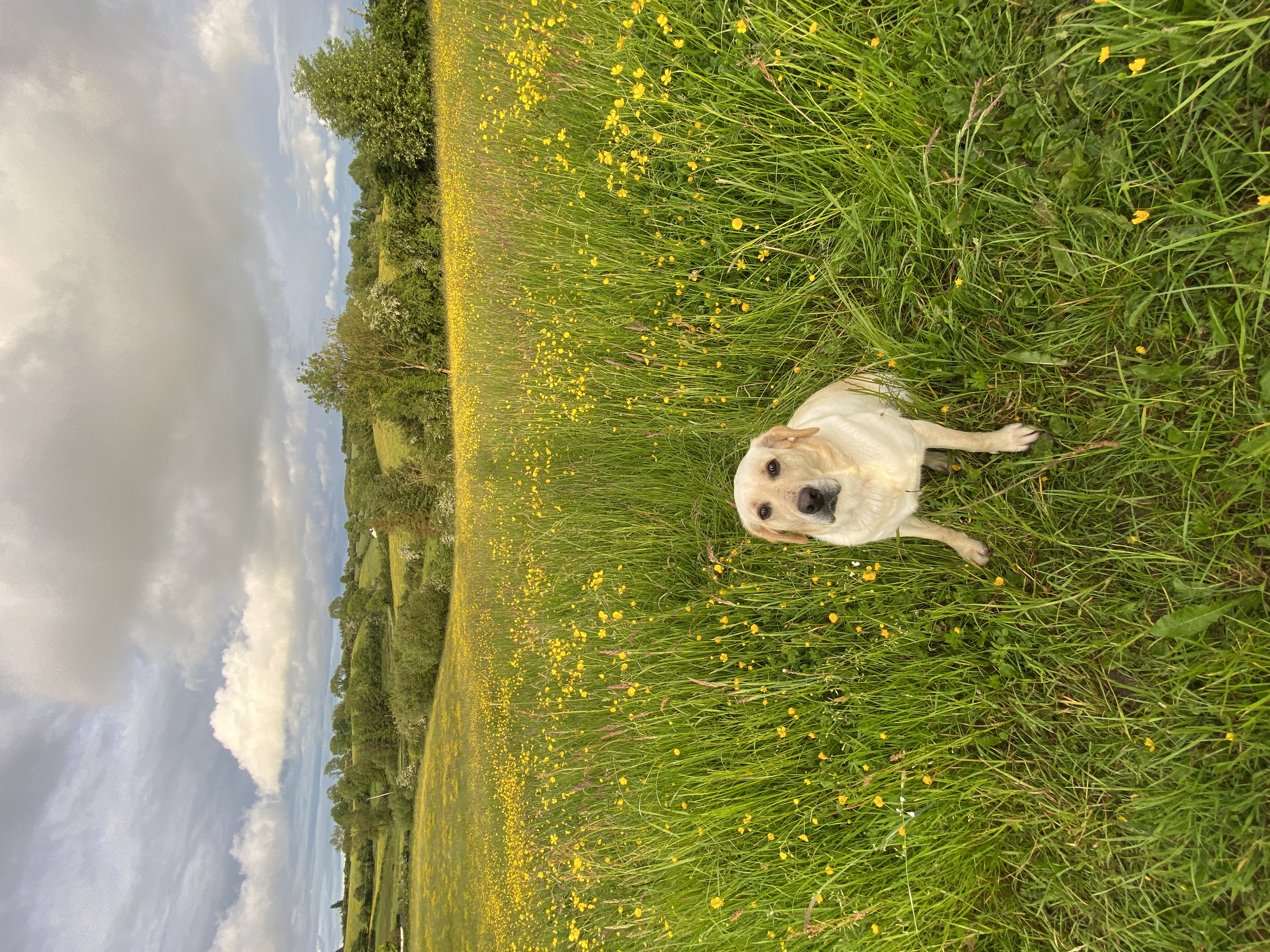 image-5
