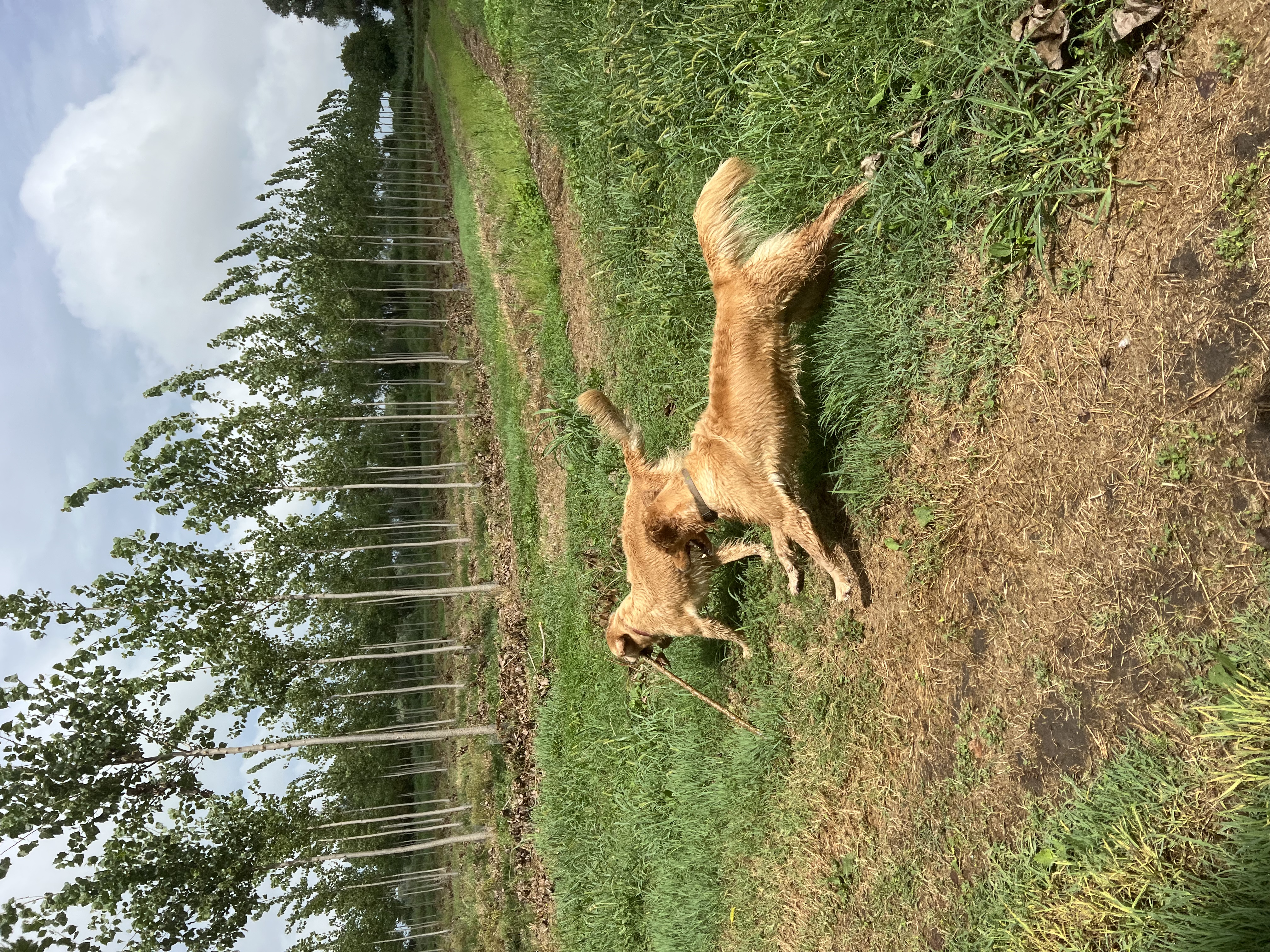 image-6