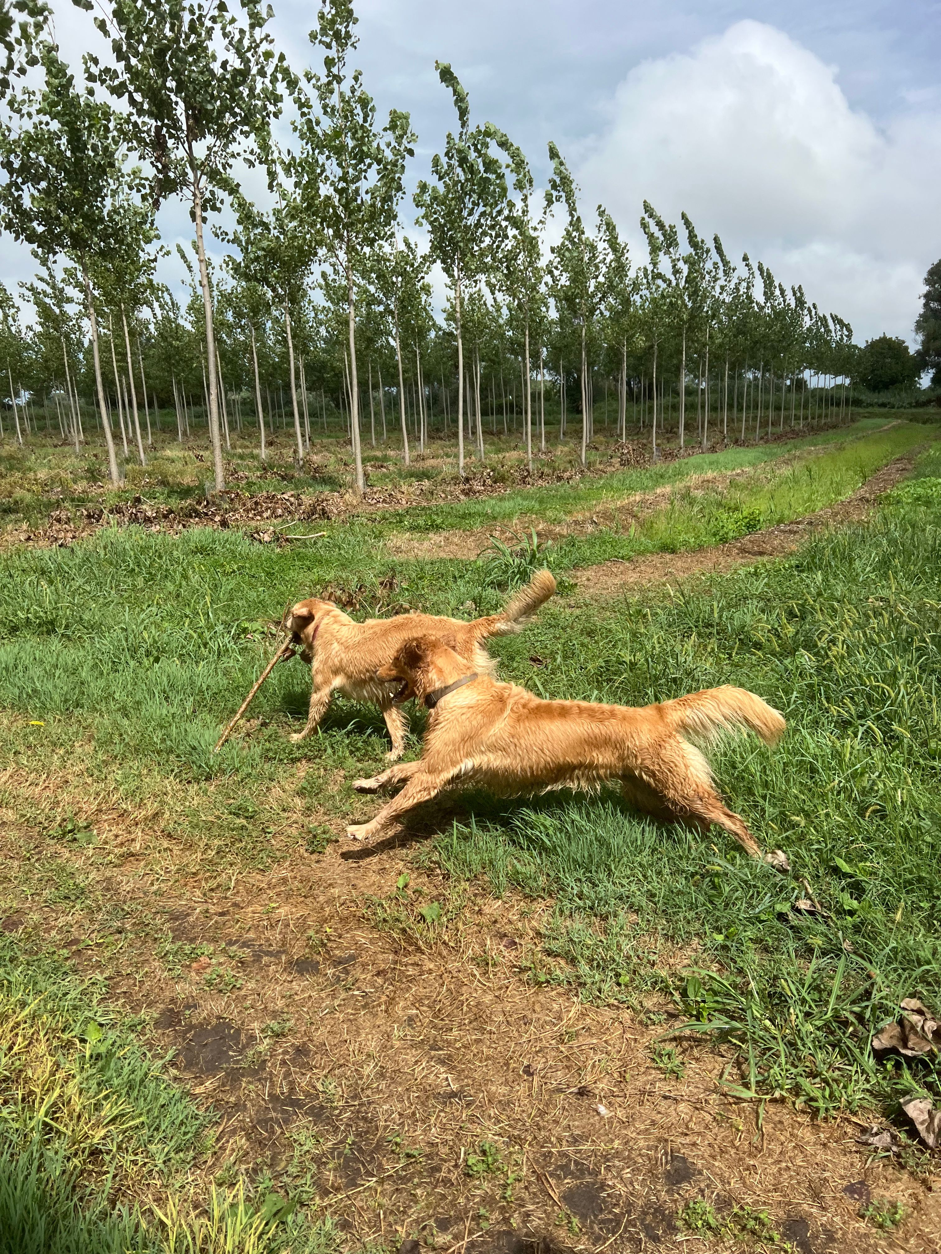 image-6