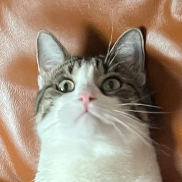 Sonny