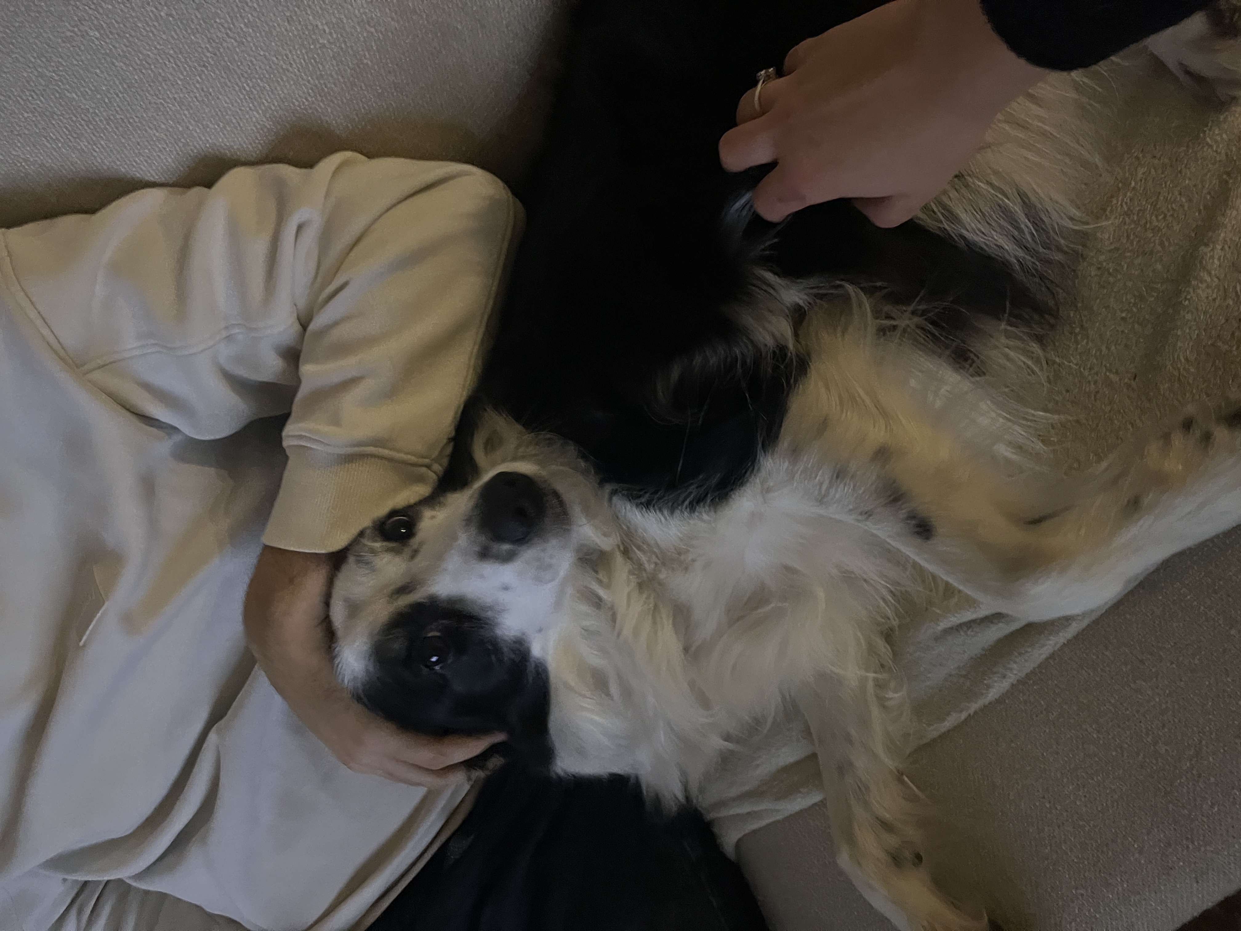image-11