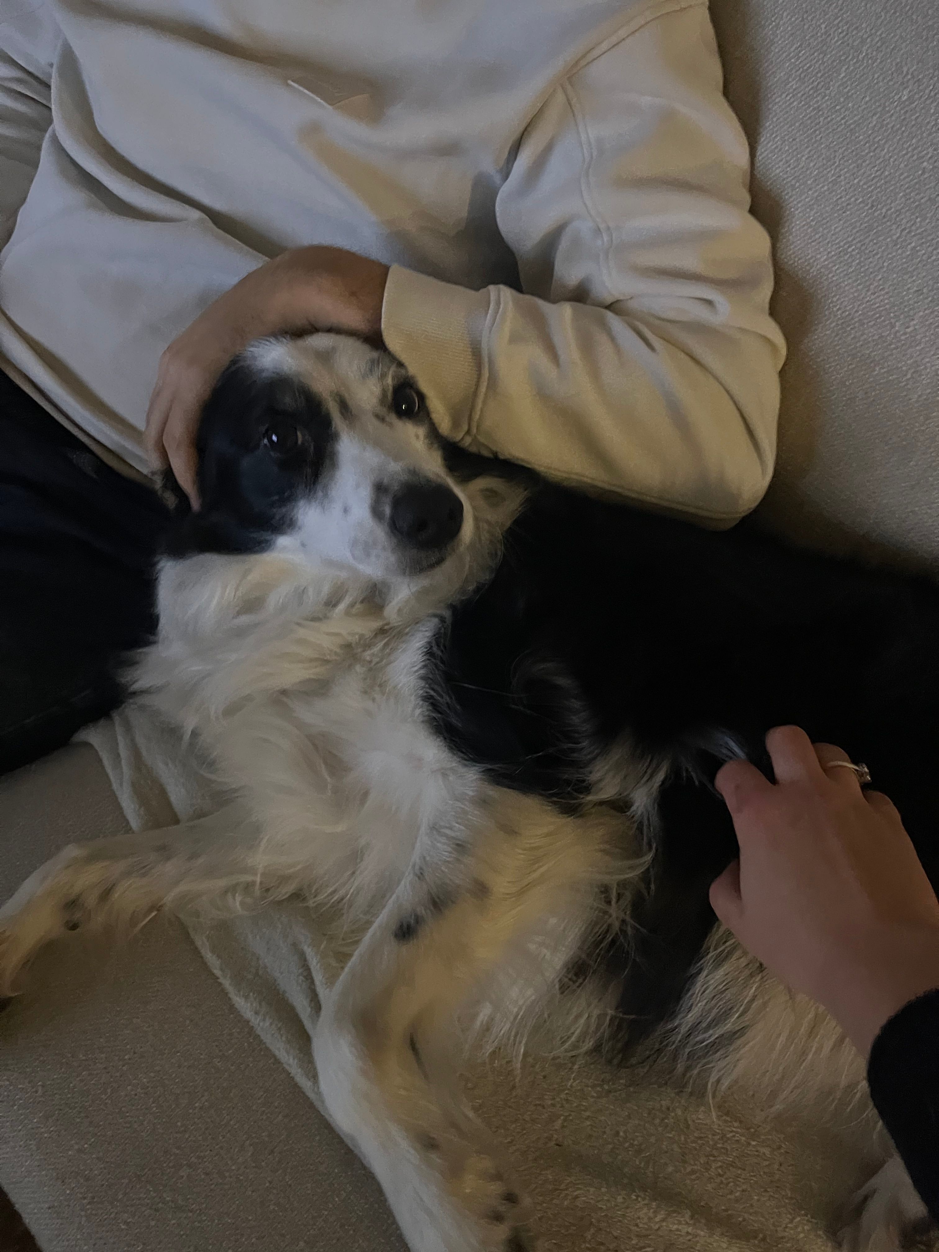 image-11
