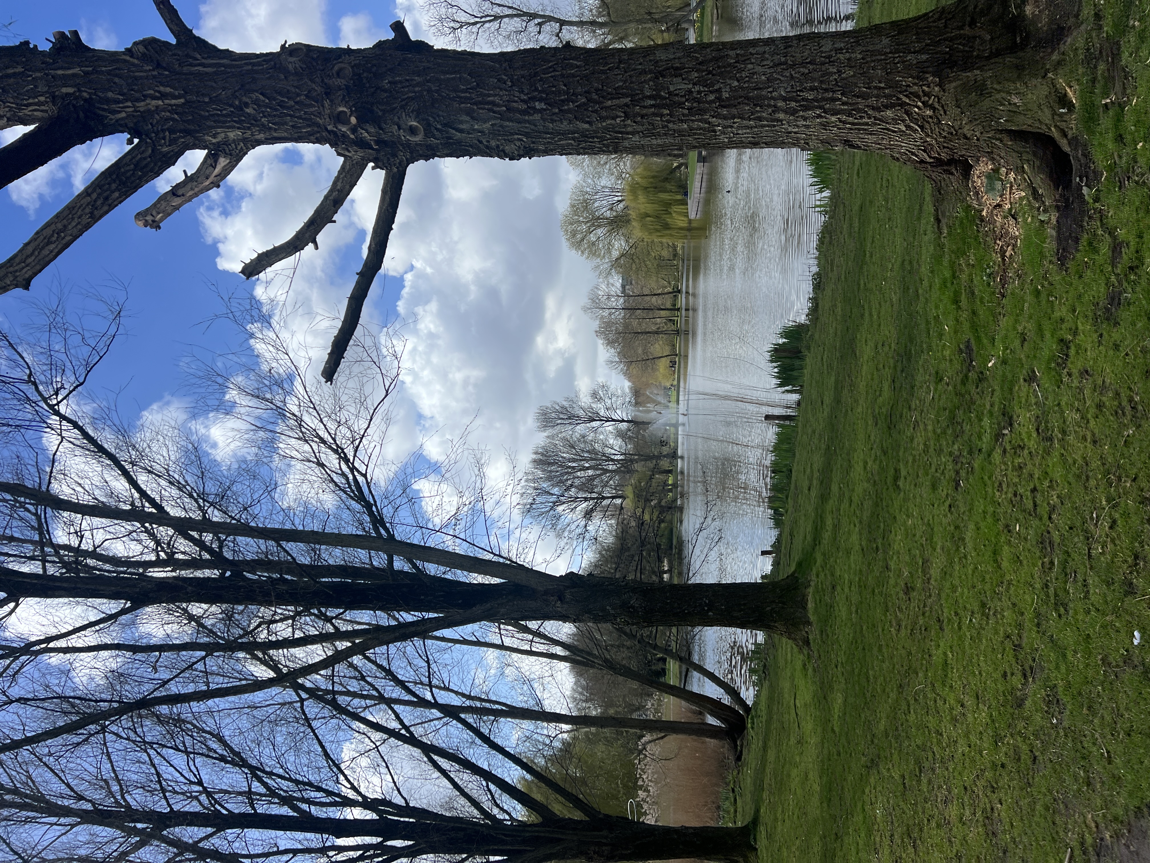 image-20