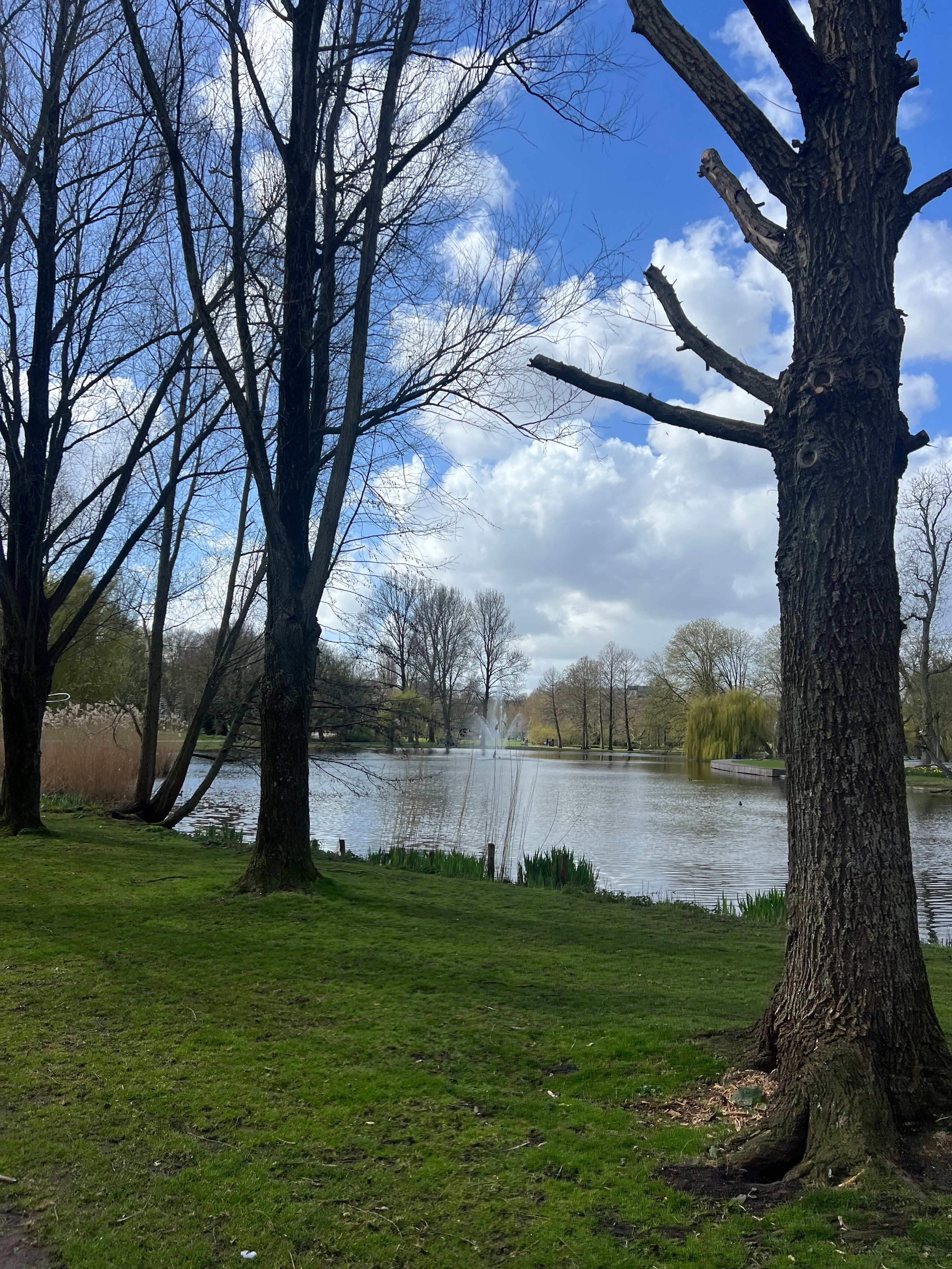 image-20