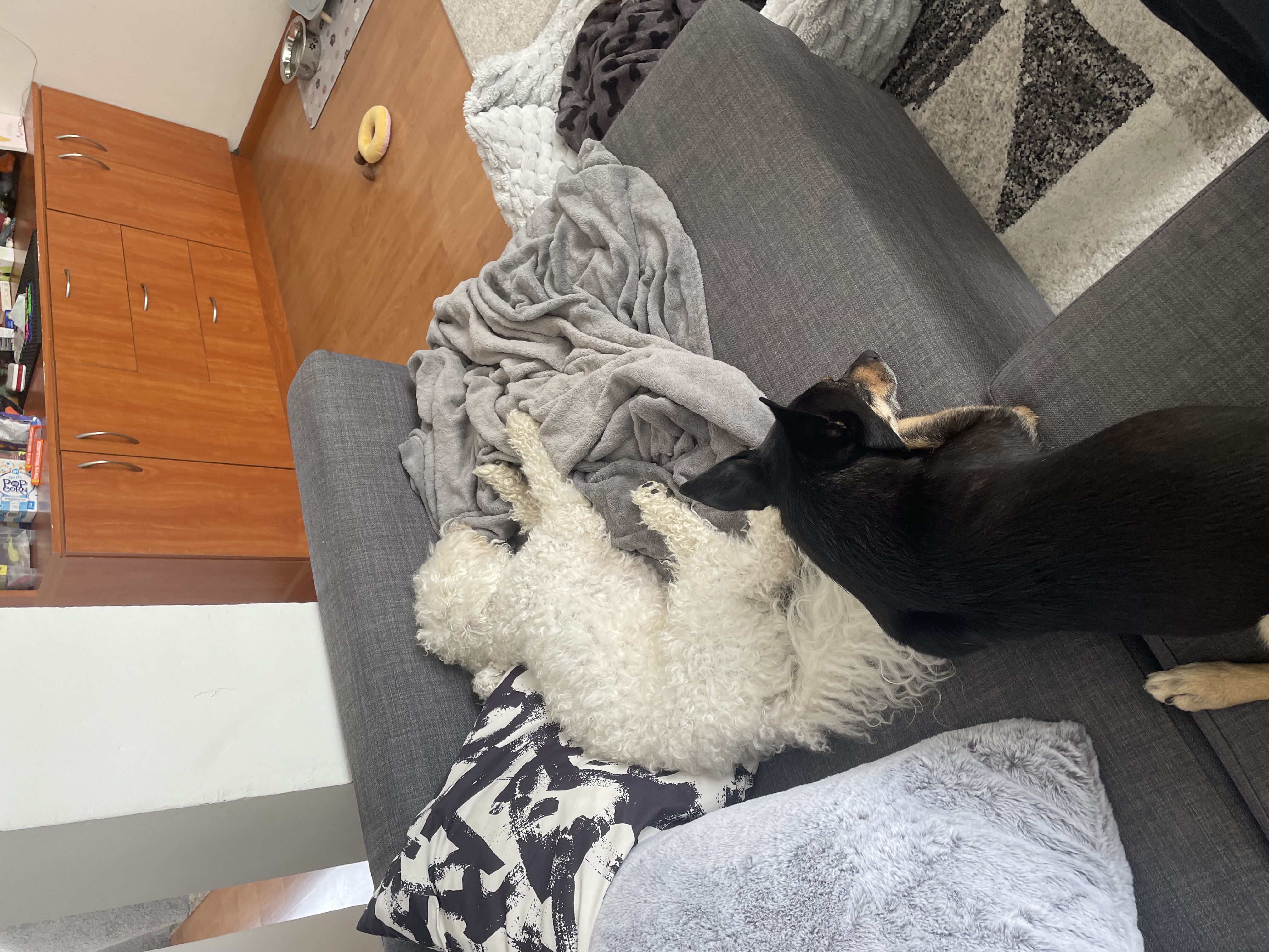 image-13