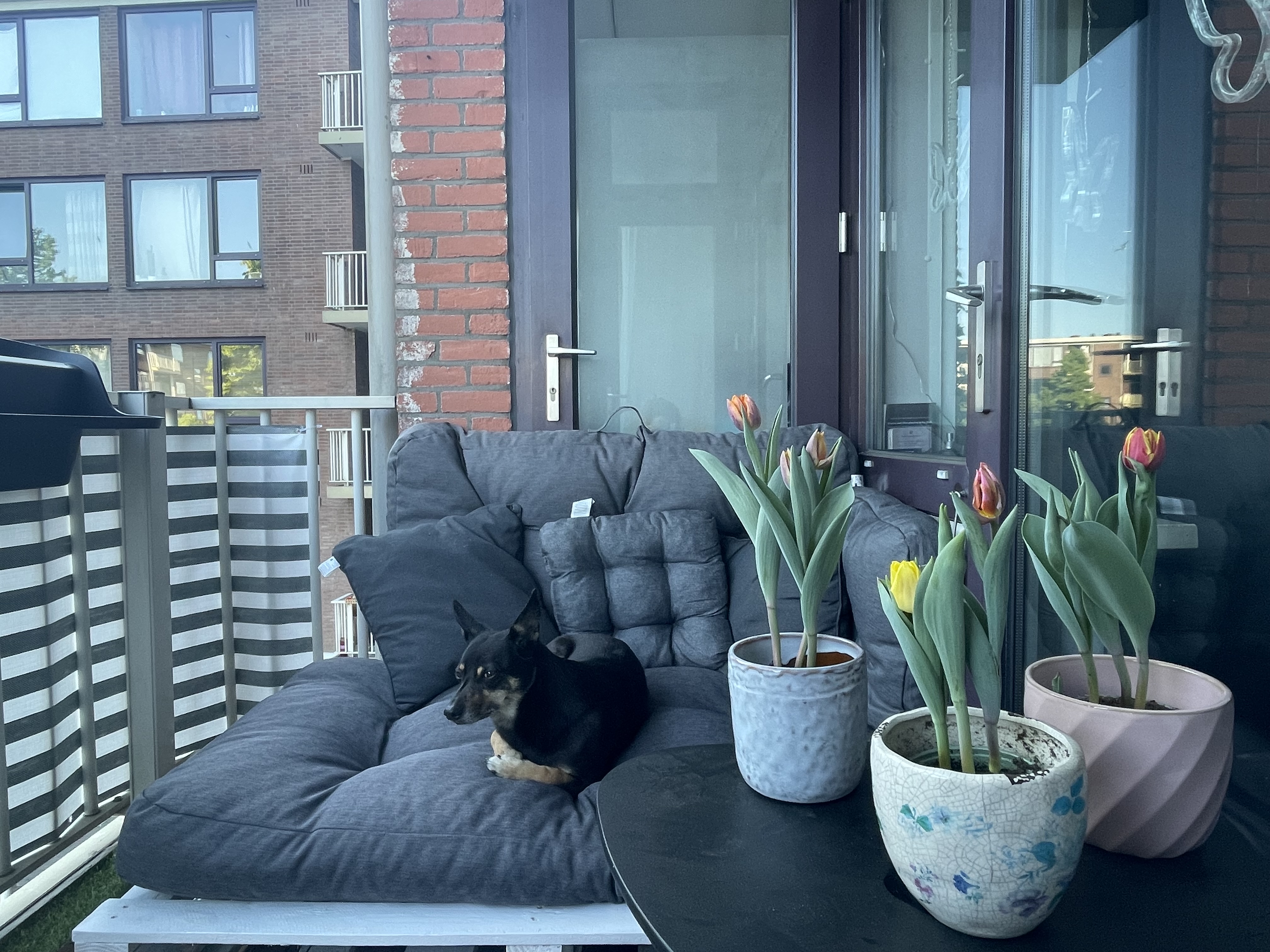 image-10