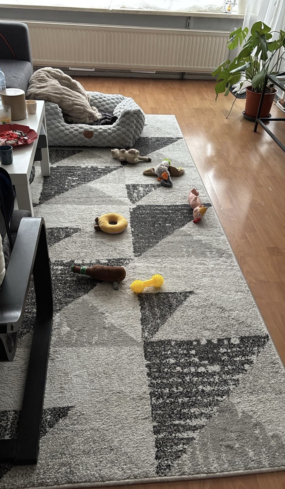 image-12