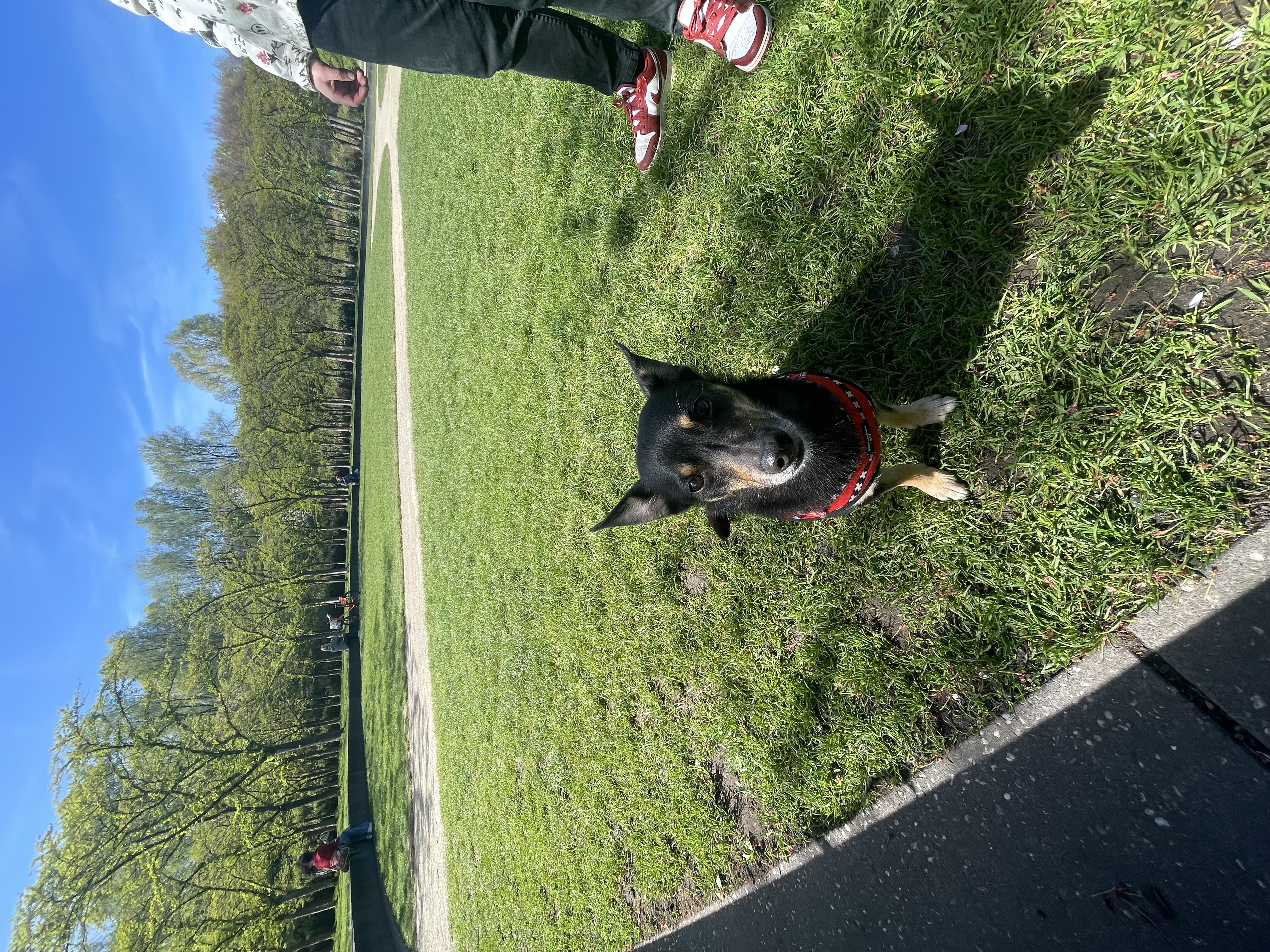 image-8