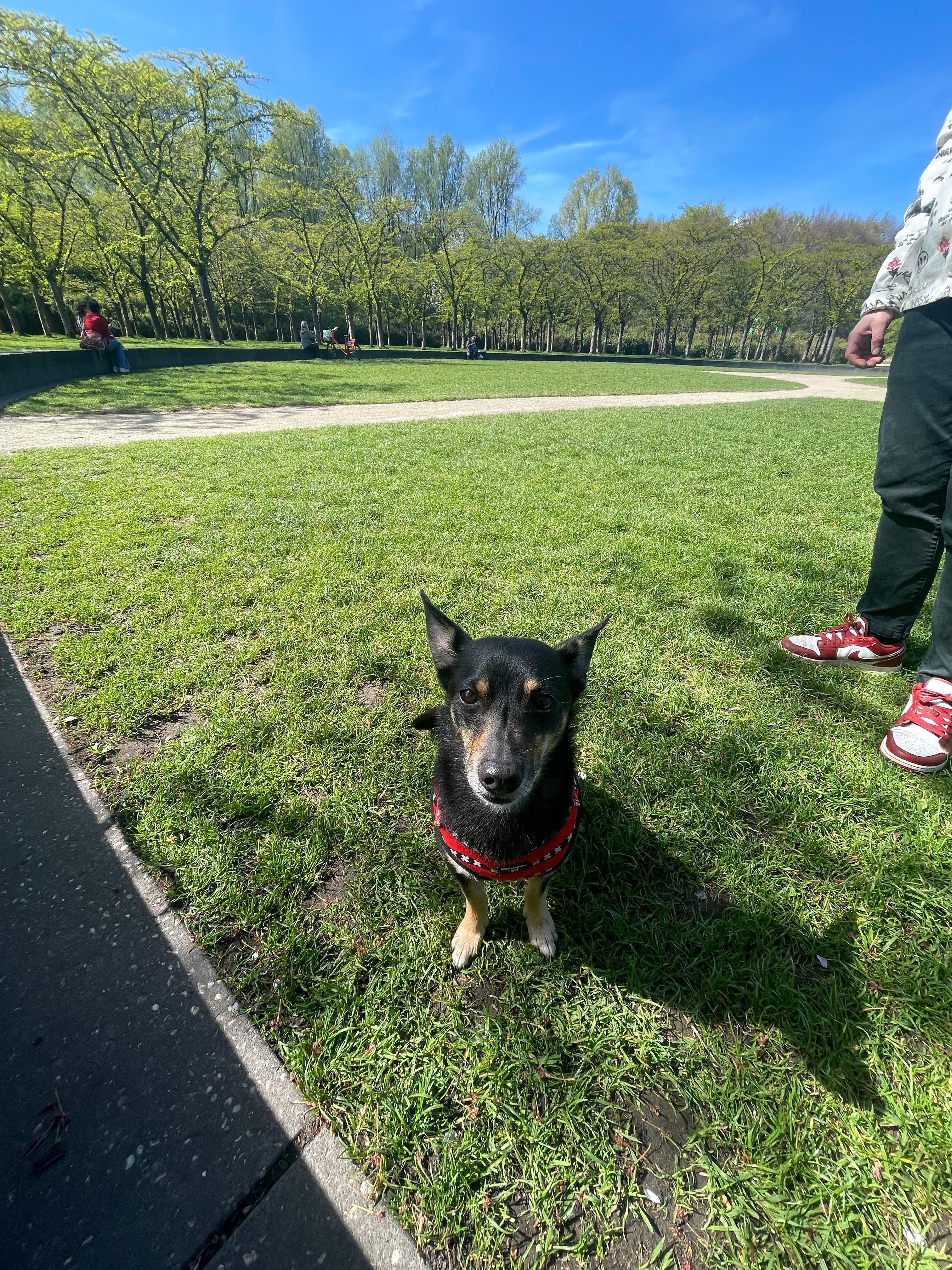 image-8