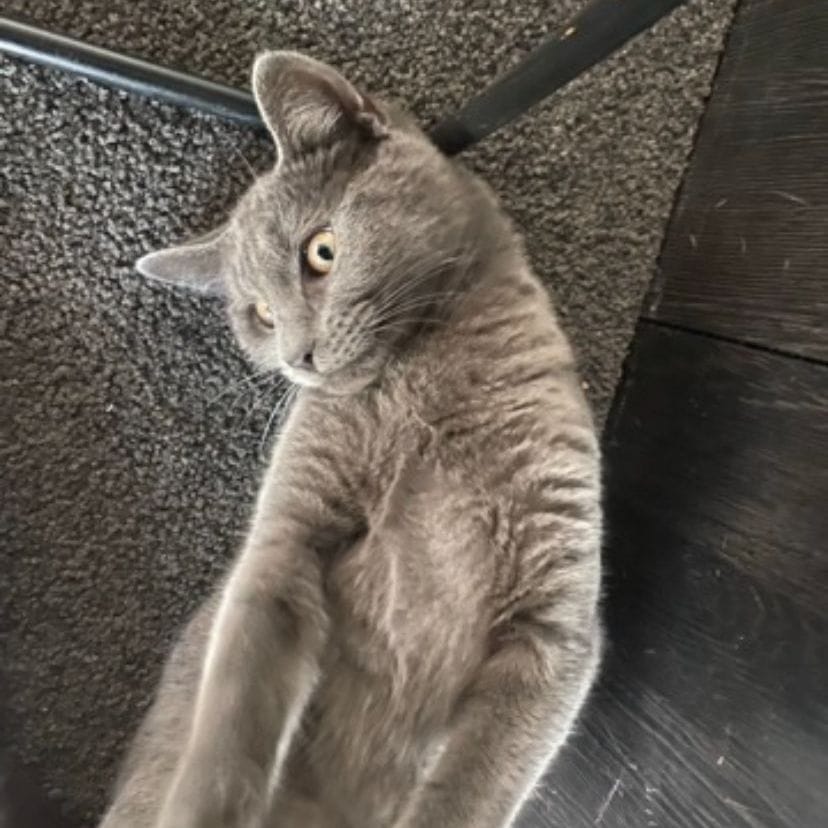 Binx