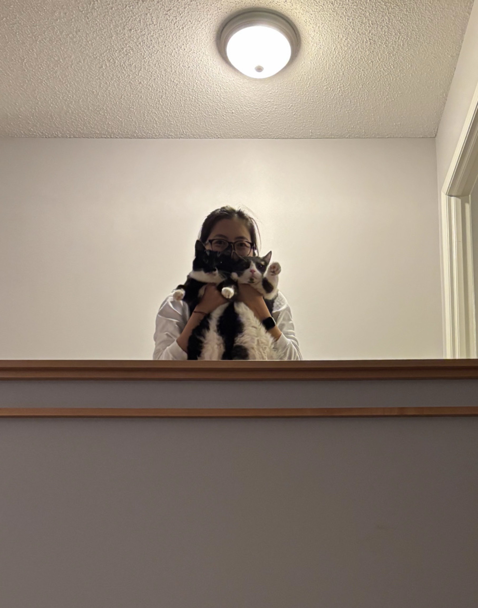 image-2