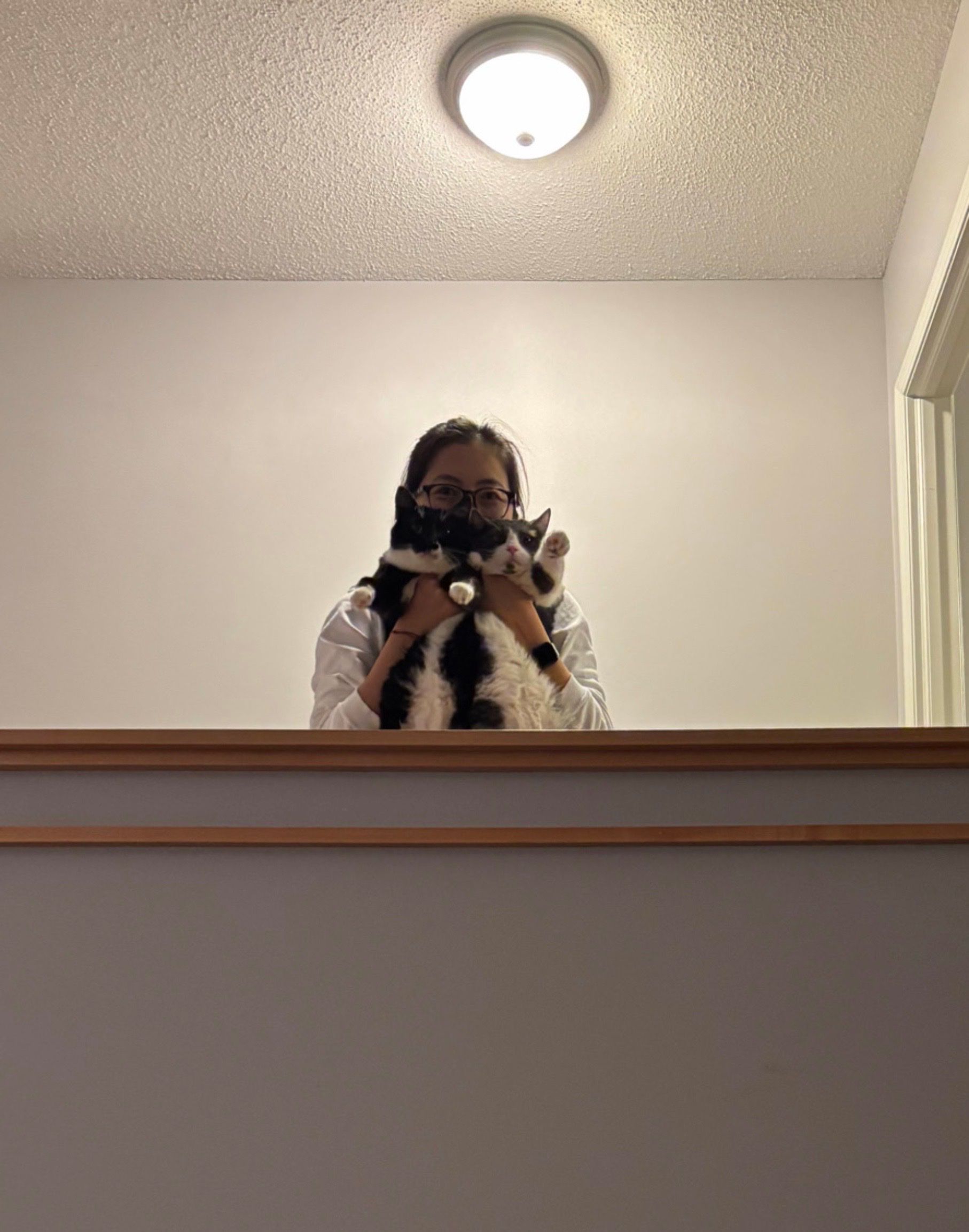 image-2
