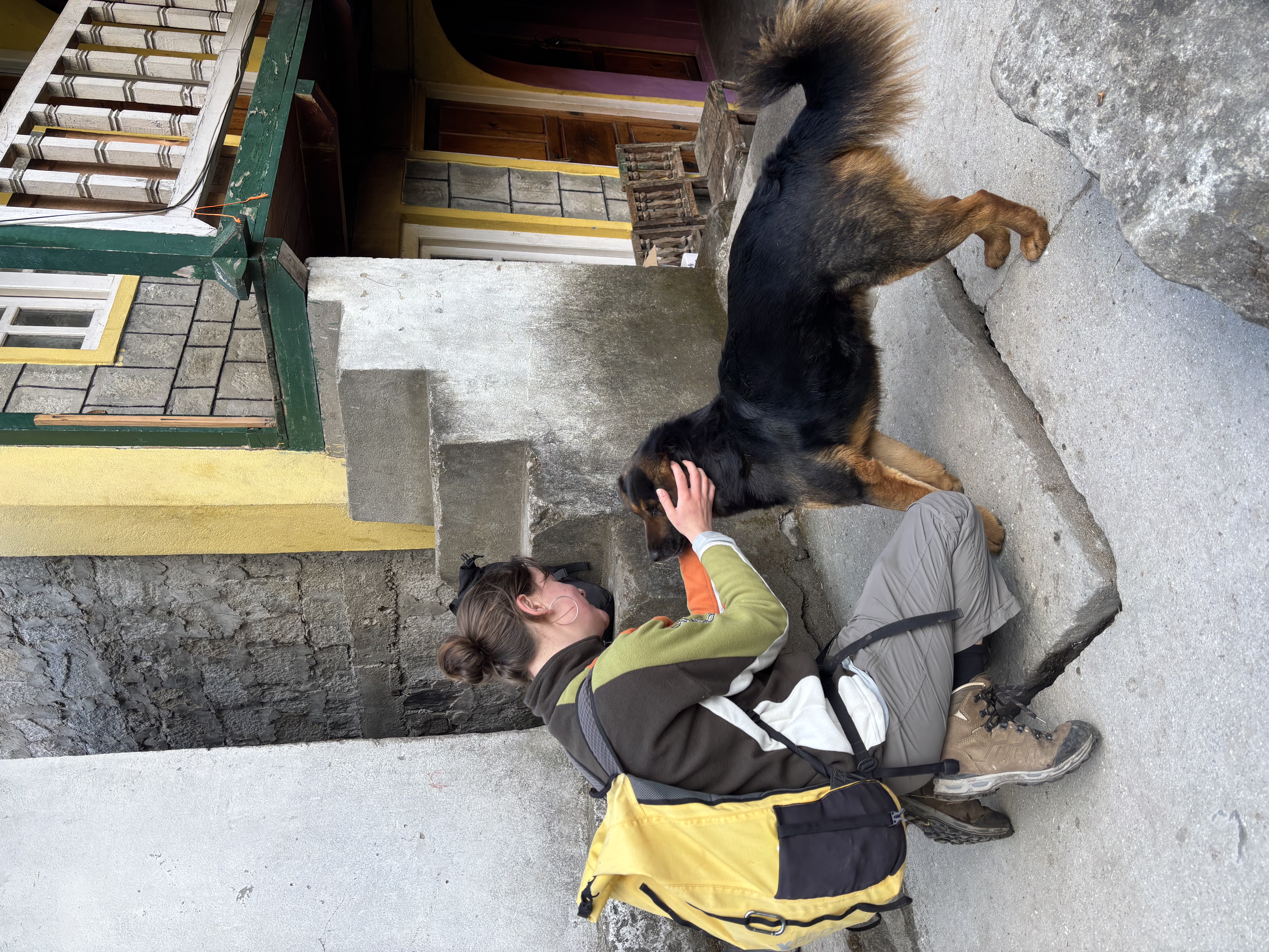 image-6