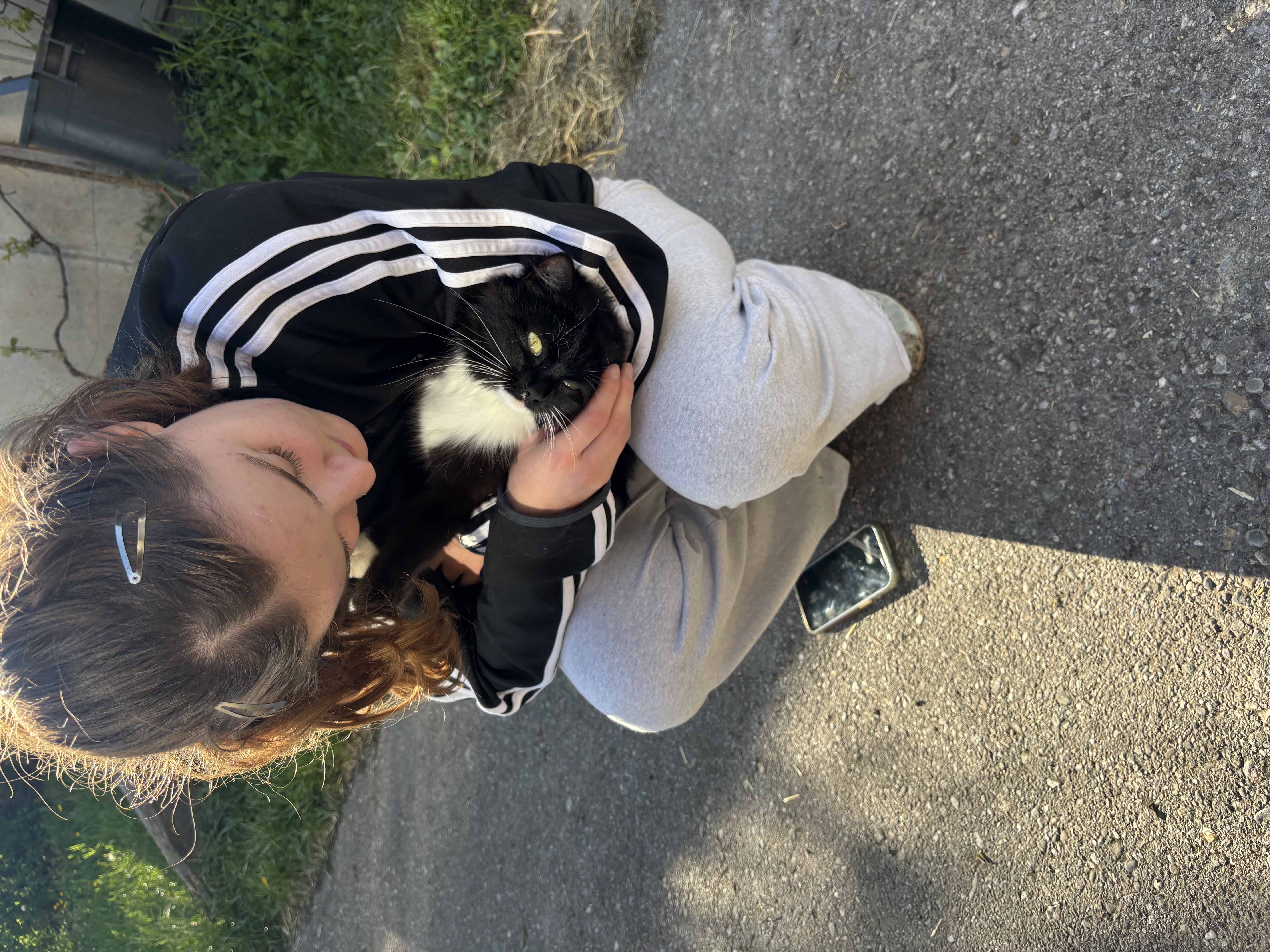 image-2