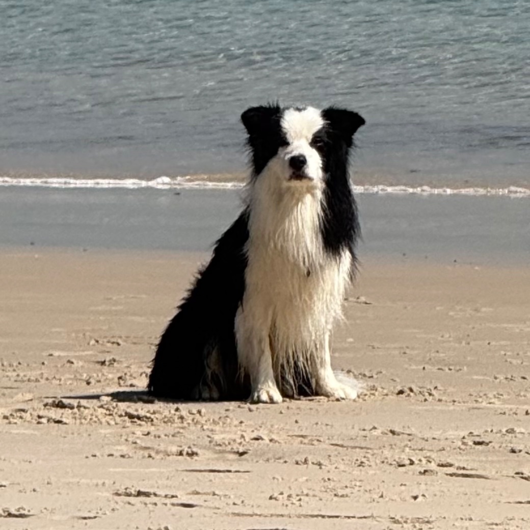 Gordon