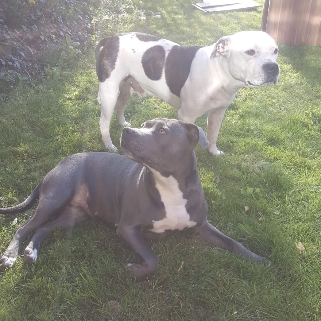 Ruby and Kaiser