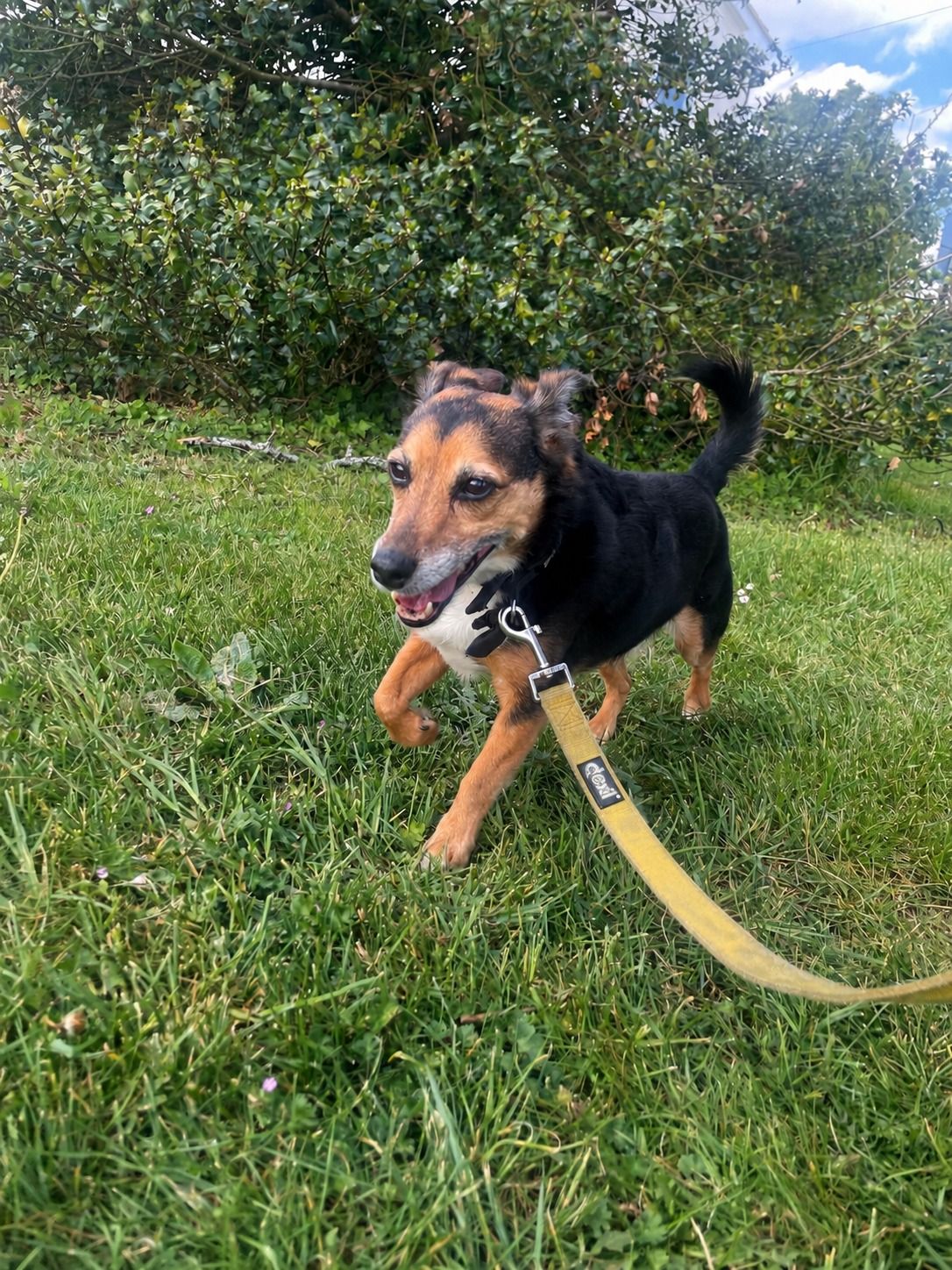 image-3