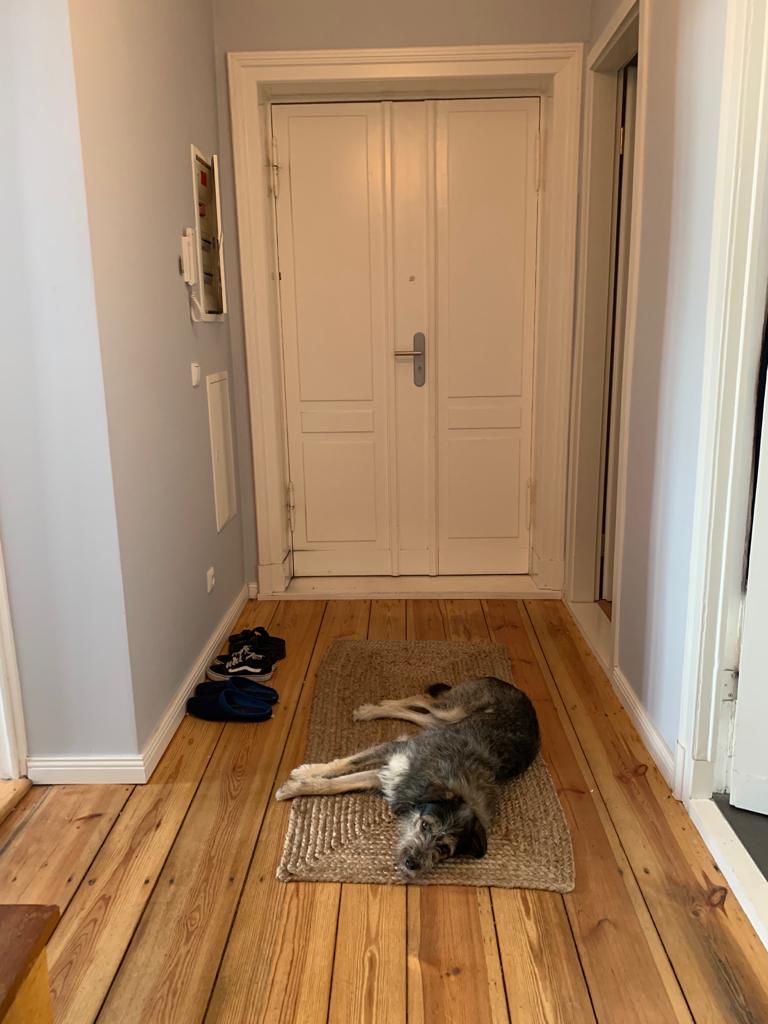 image-17