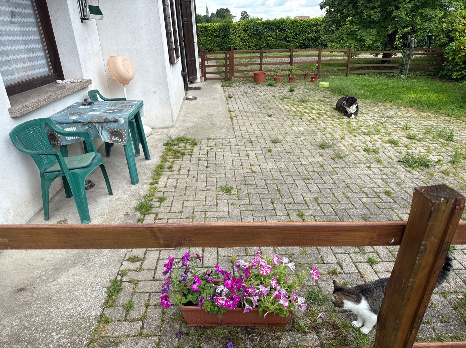 image-23