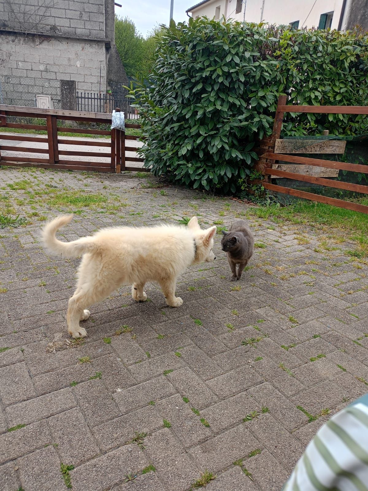 image-20